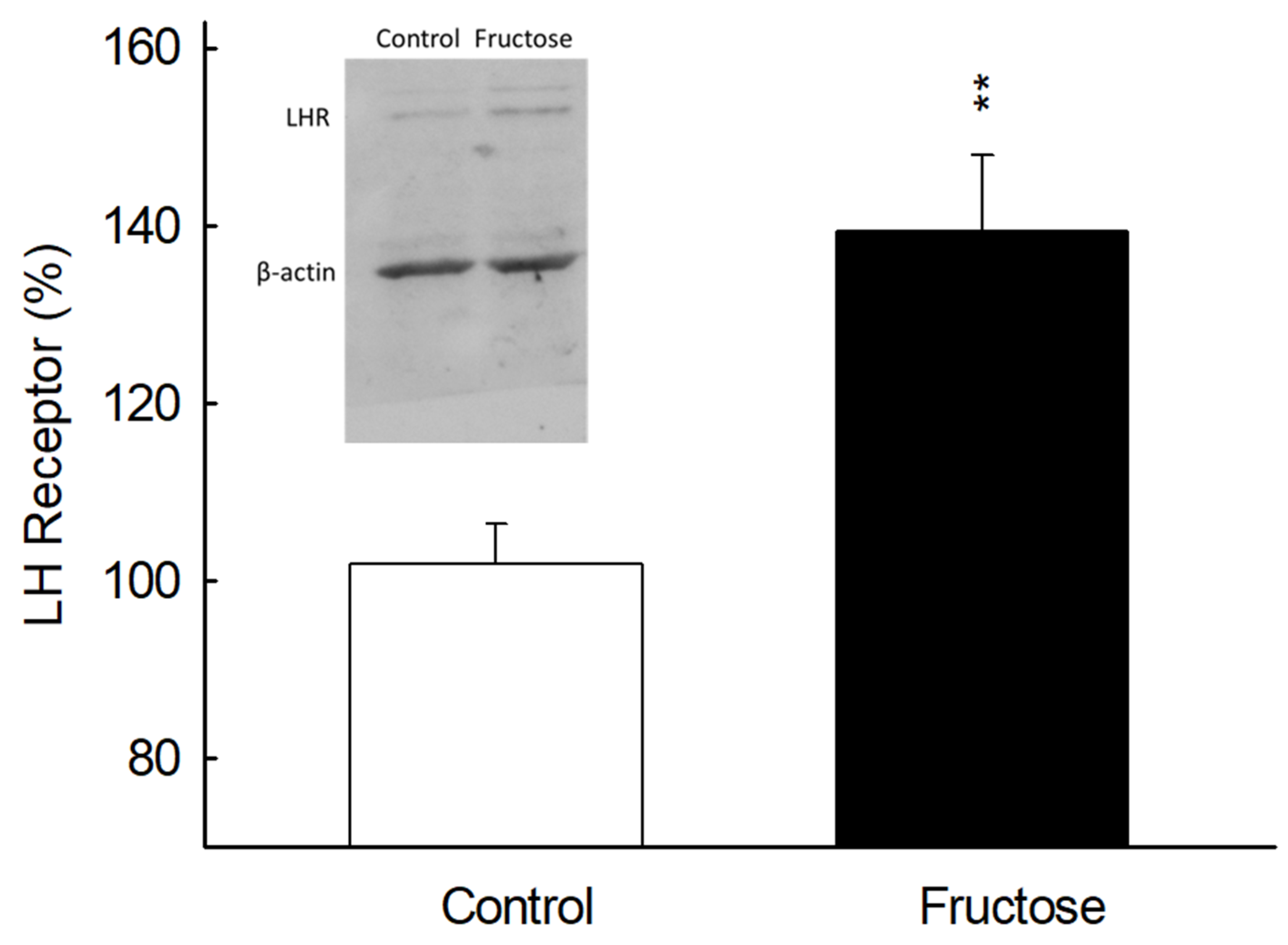 Biomedicines 10 03009 g007