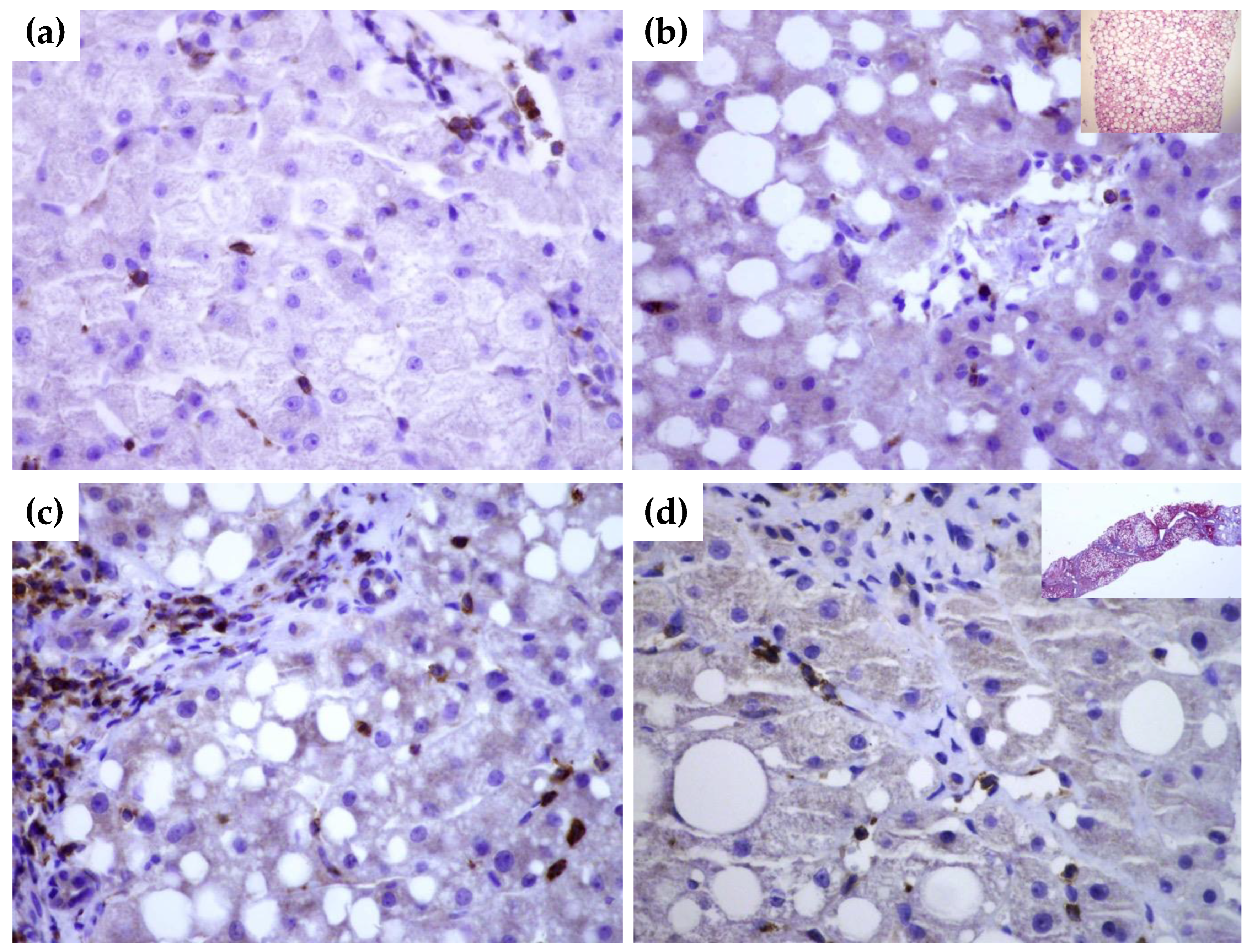 Biomedicines 10 03014 g004 Biomedicines 10 03014 g004