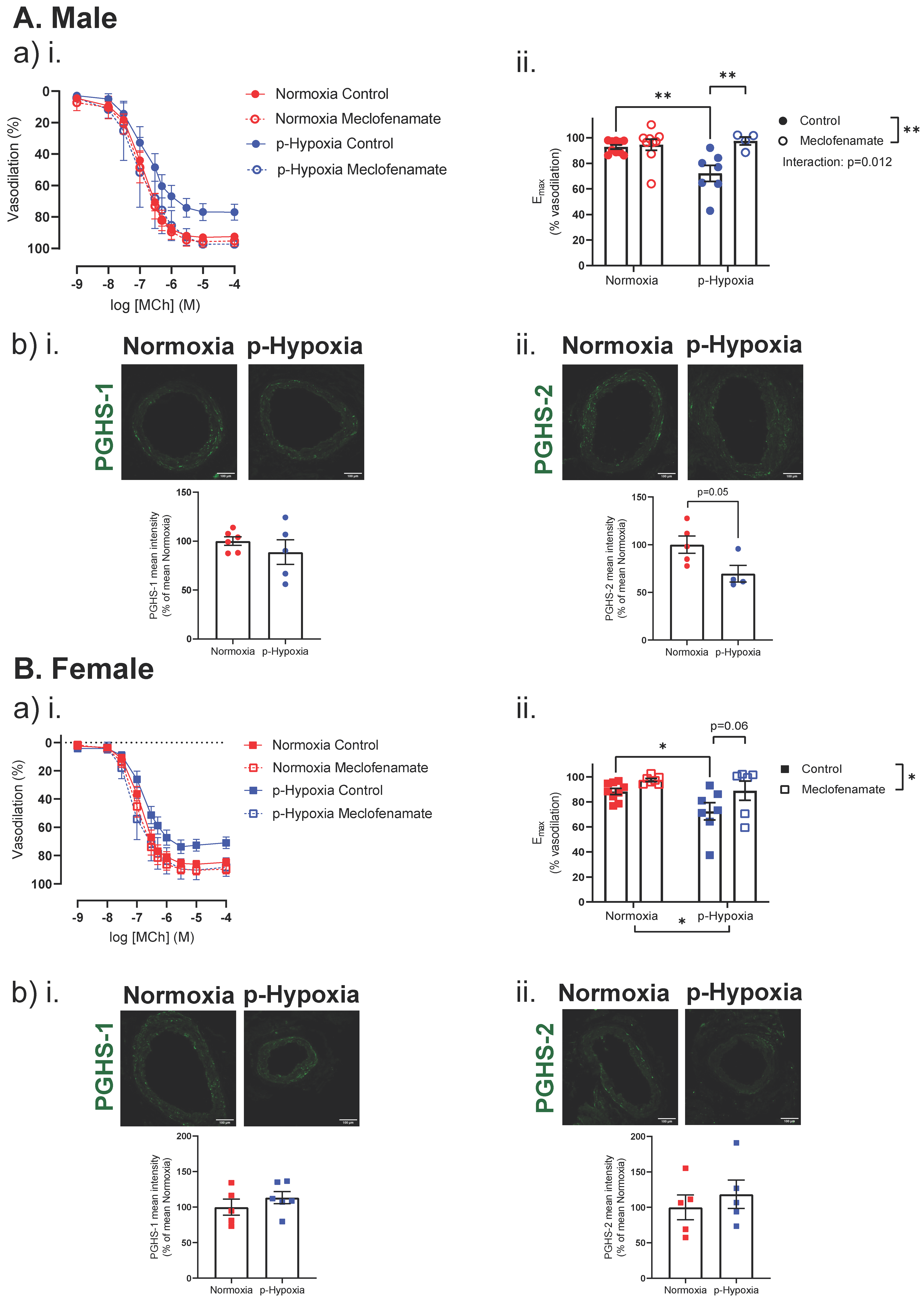 Biomedicines 10 03019 g004 Biomedicines 10 03019 g004