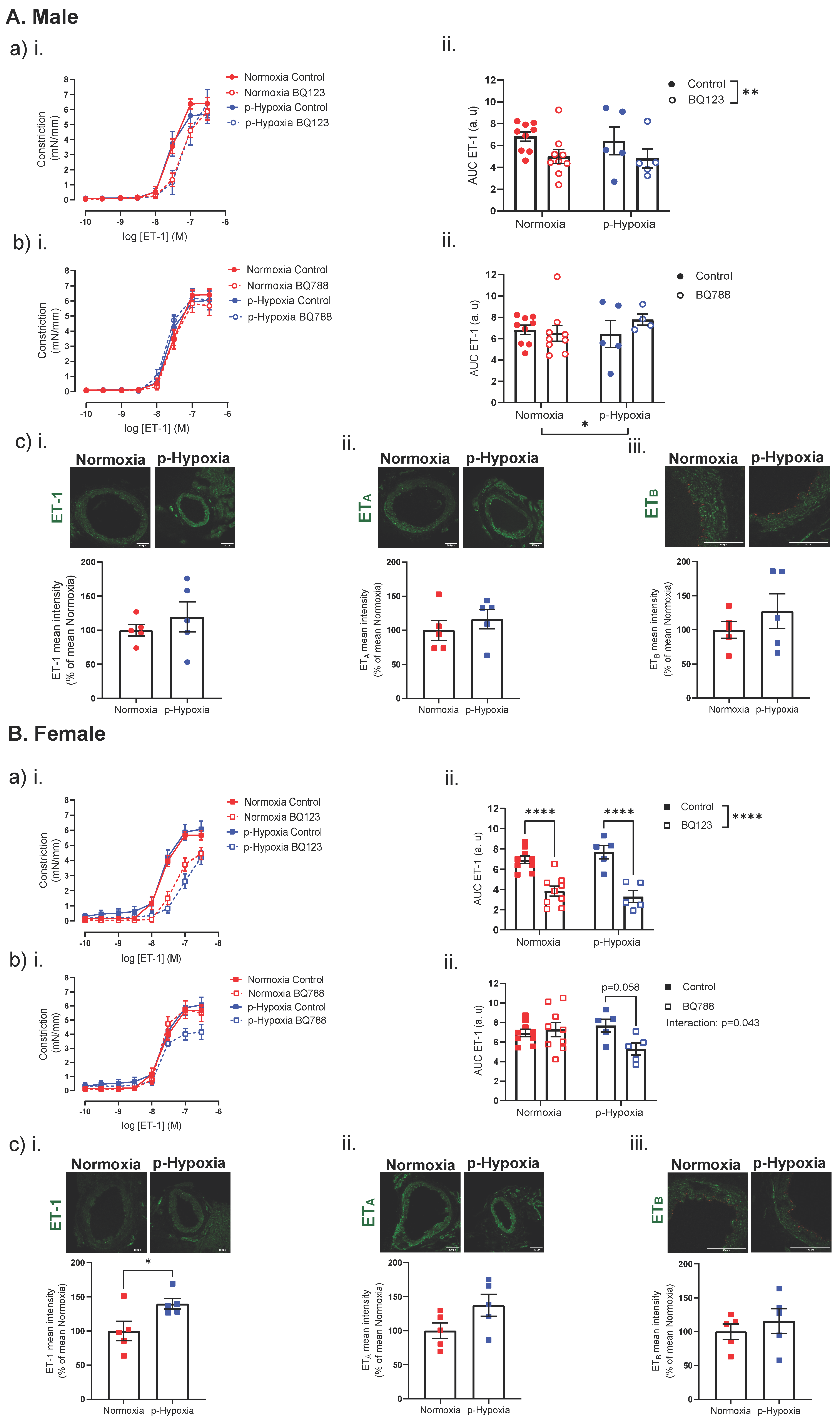 Biomedicines 10 03019 g006 Biomedicines 10 03019 g006