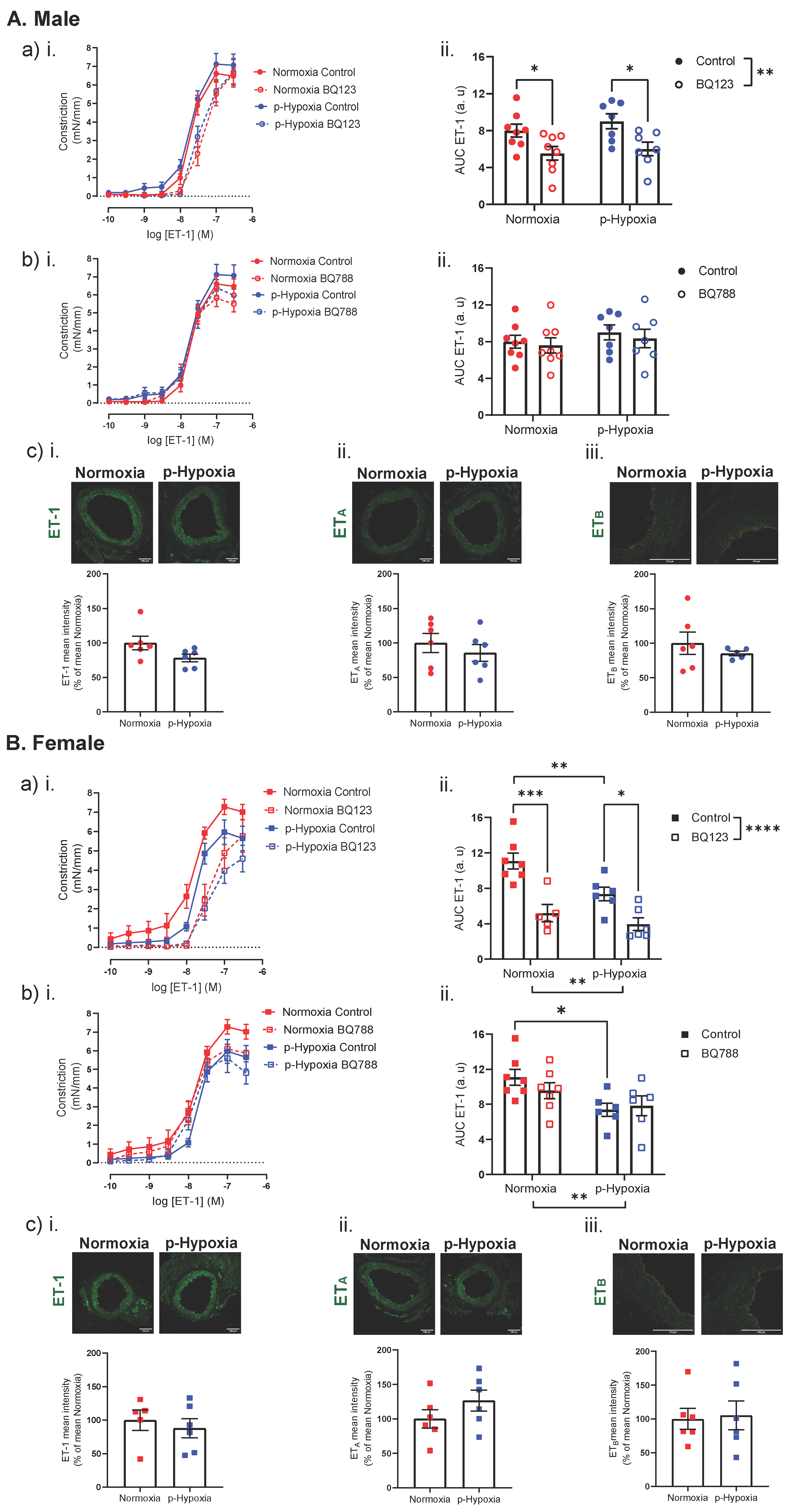 Biomedicines 10 03019 g007 Biomedicines 10 03019 g007