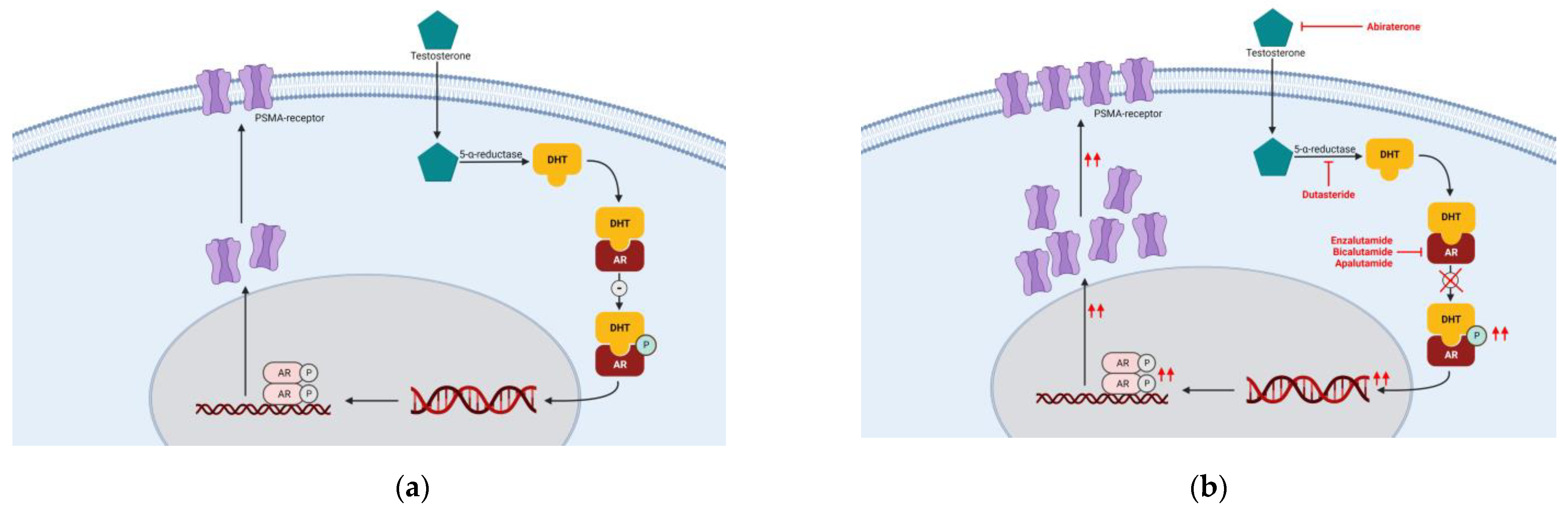 Biomedicines 10 03020 g002