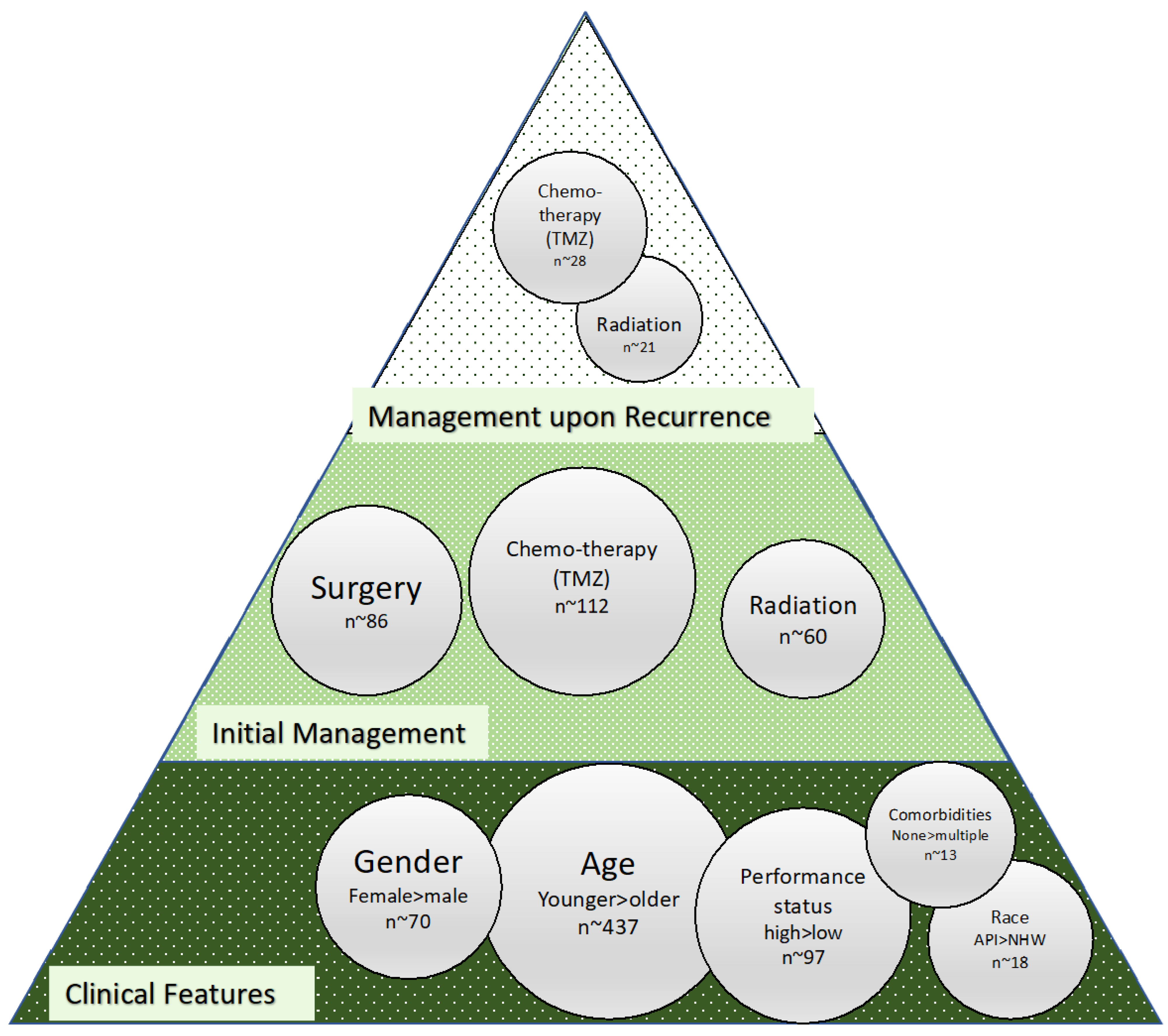 Biomedicines 10 03029 g002