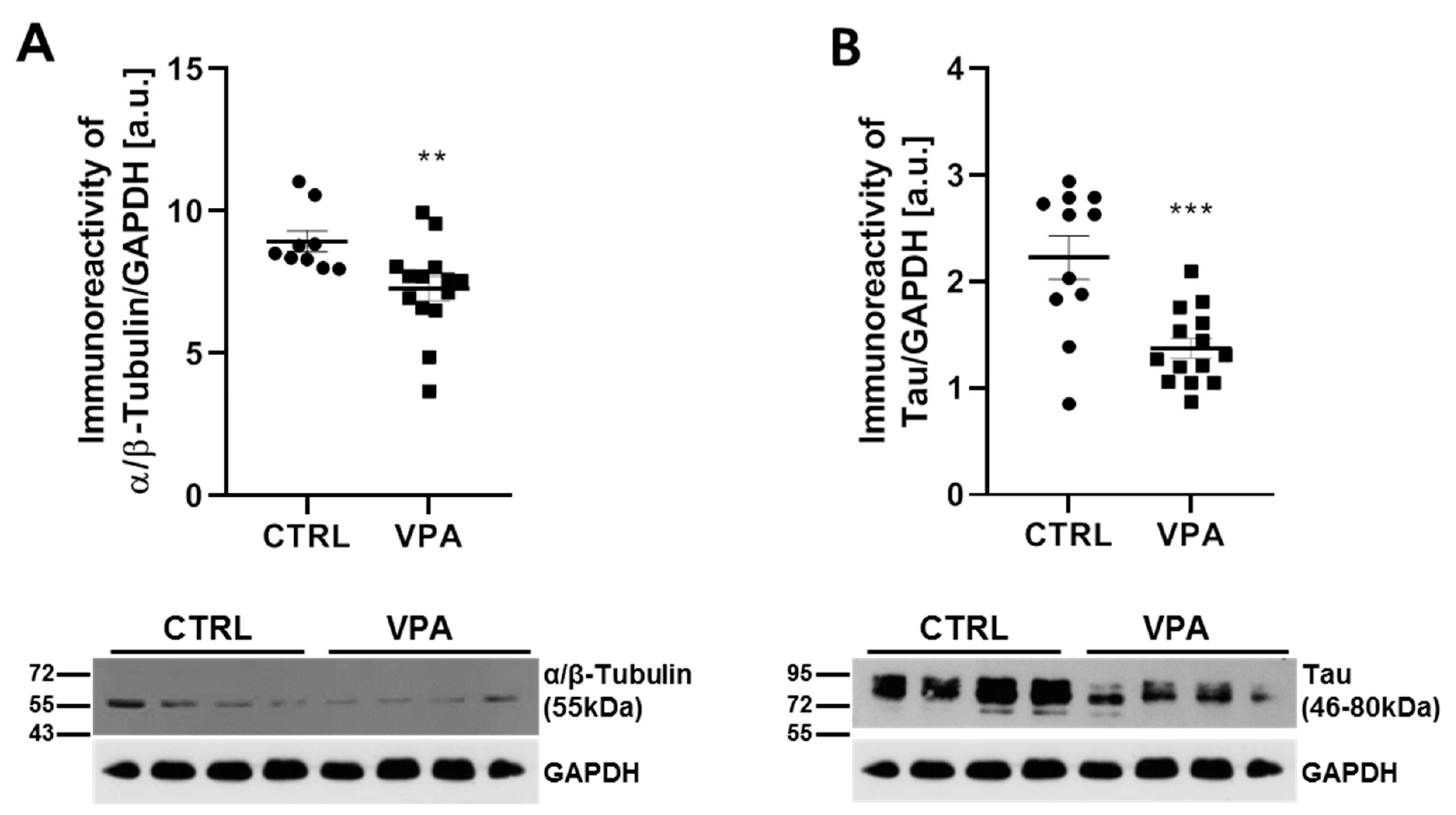 Biomedicines 10 03031 g001 Biomedicines 10 03031 g001