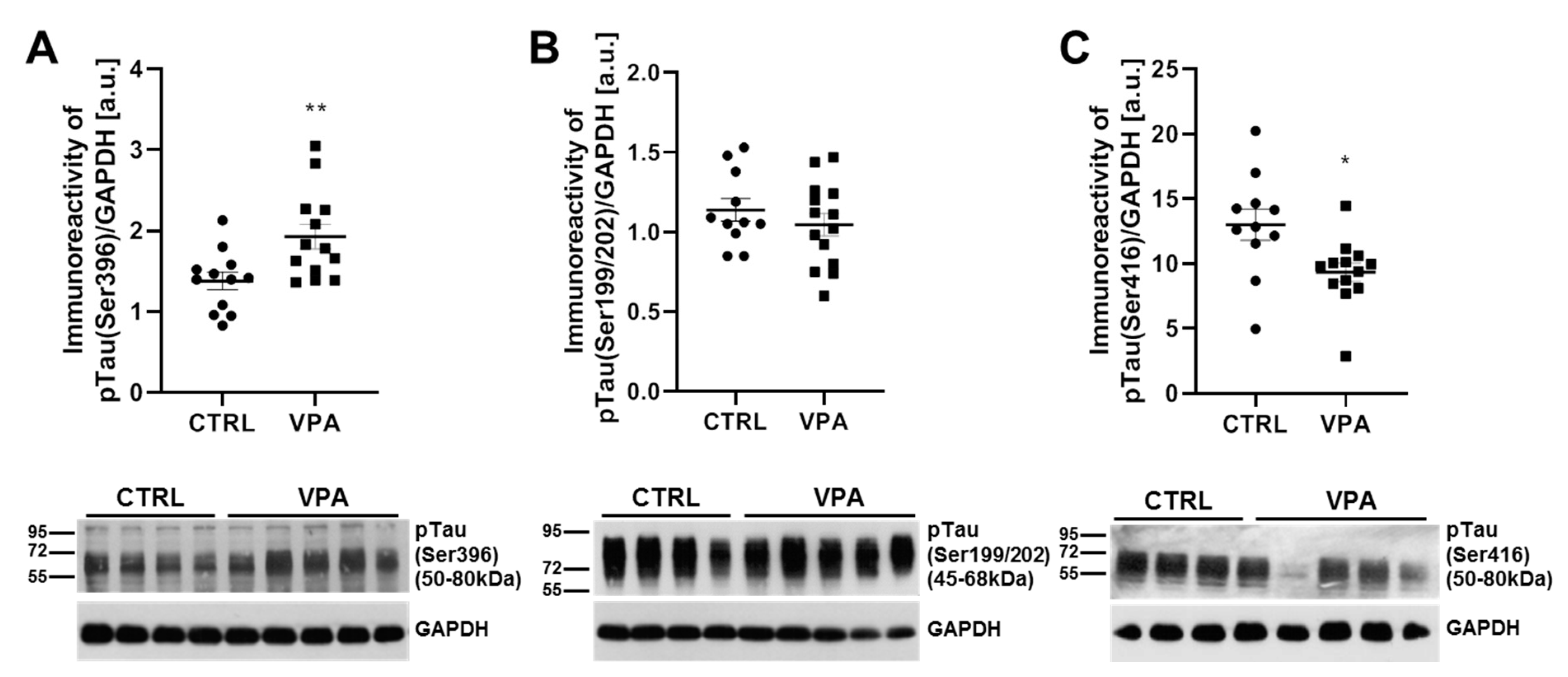 Biomedicines 10 03031 g003 Biomedicines 10 03031 g003