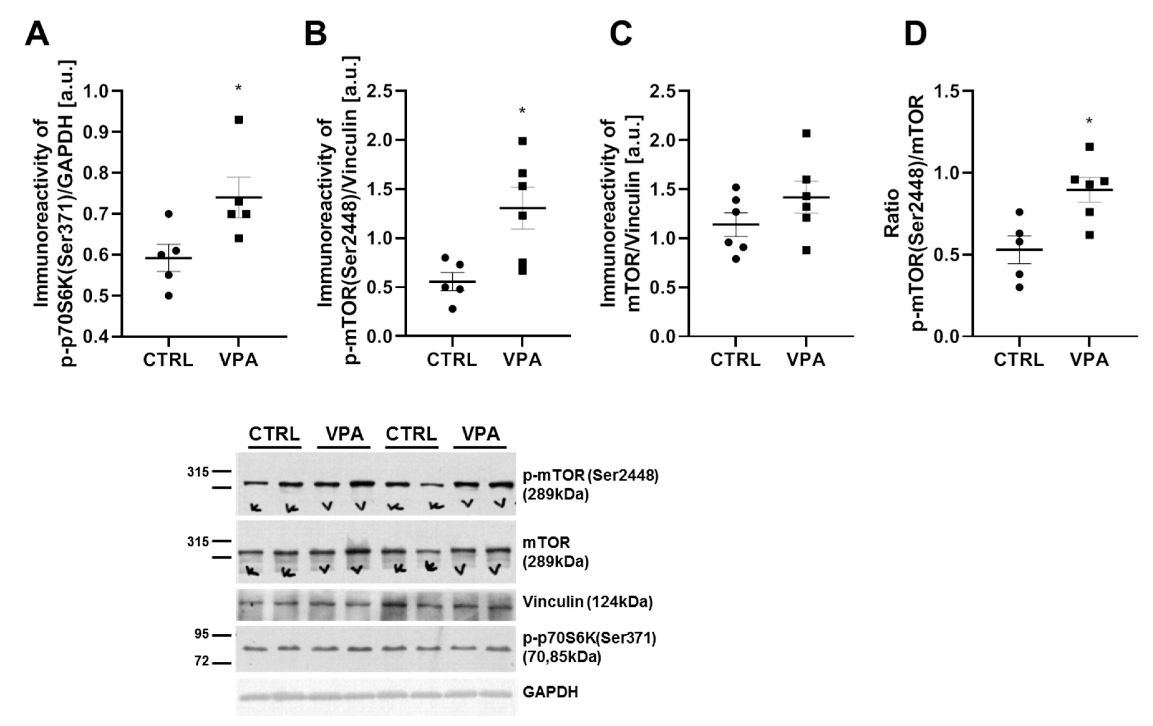 Biomedicines 10 03031 g007 Biomedicines 10 03031 g007