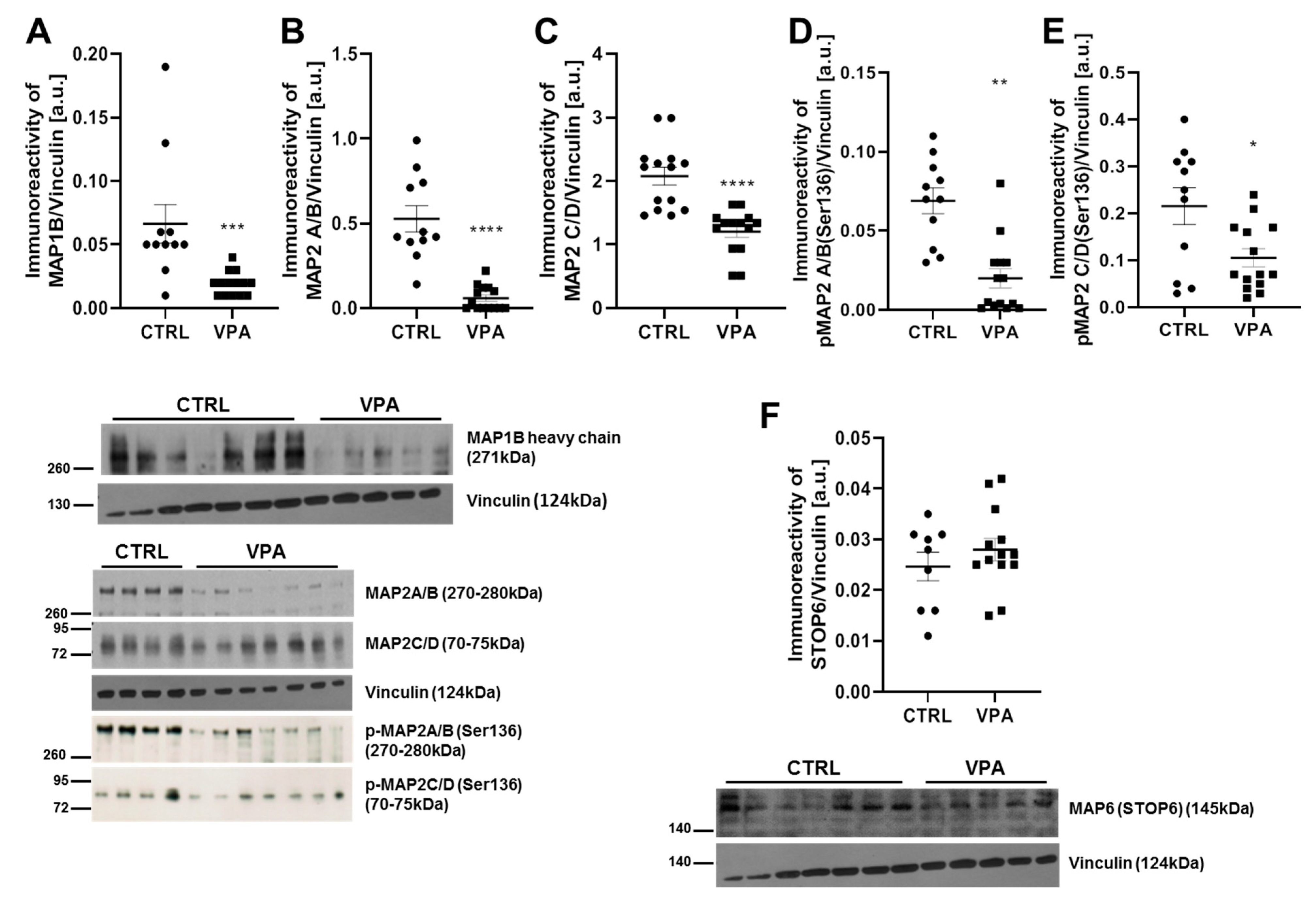 Biomedicines 10 03031 g008 Biomedicines 10 03031 g008