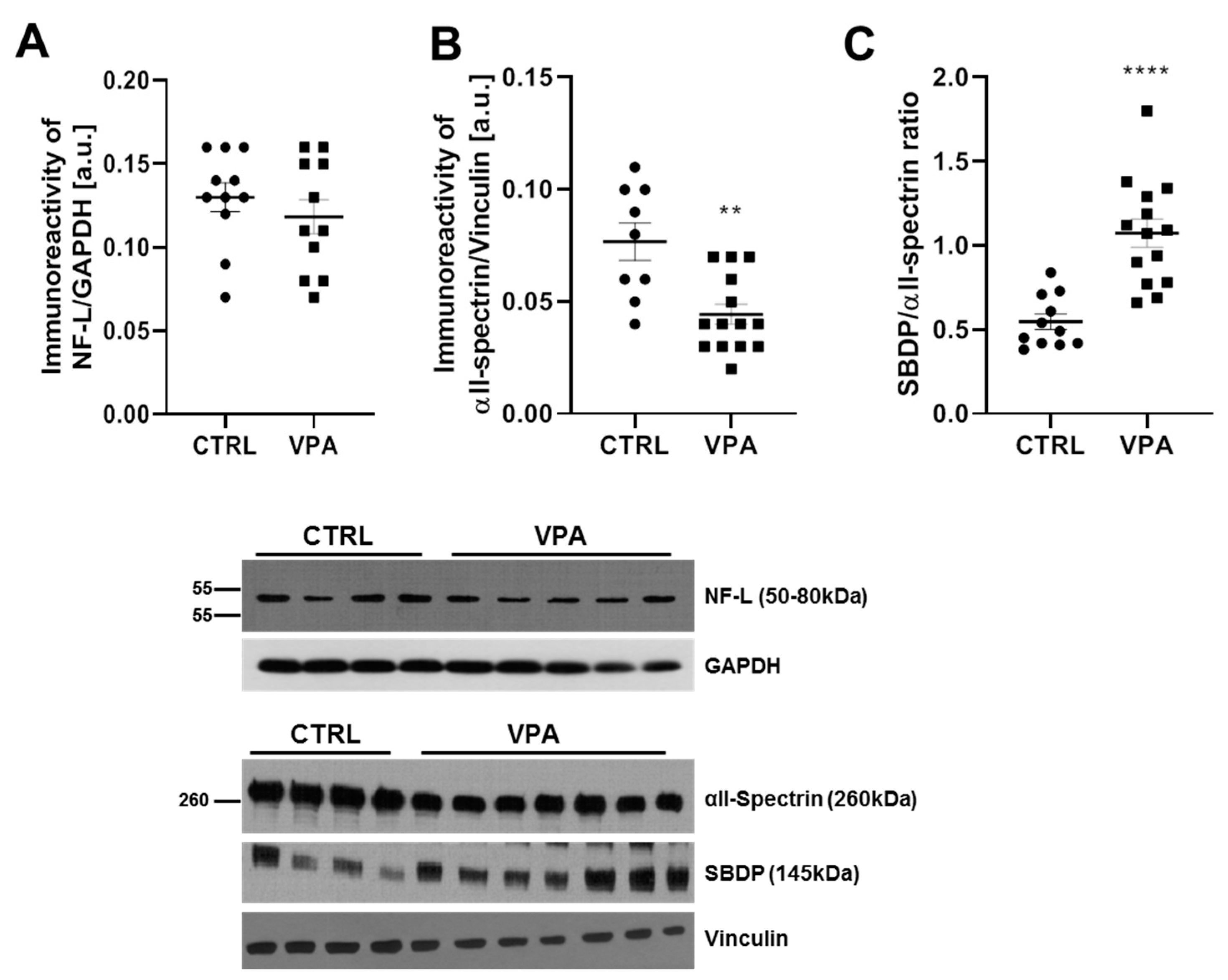 Biomedicines 10 03031 g009 Biomedicines 10 03031 g009