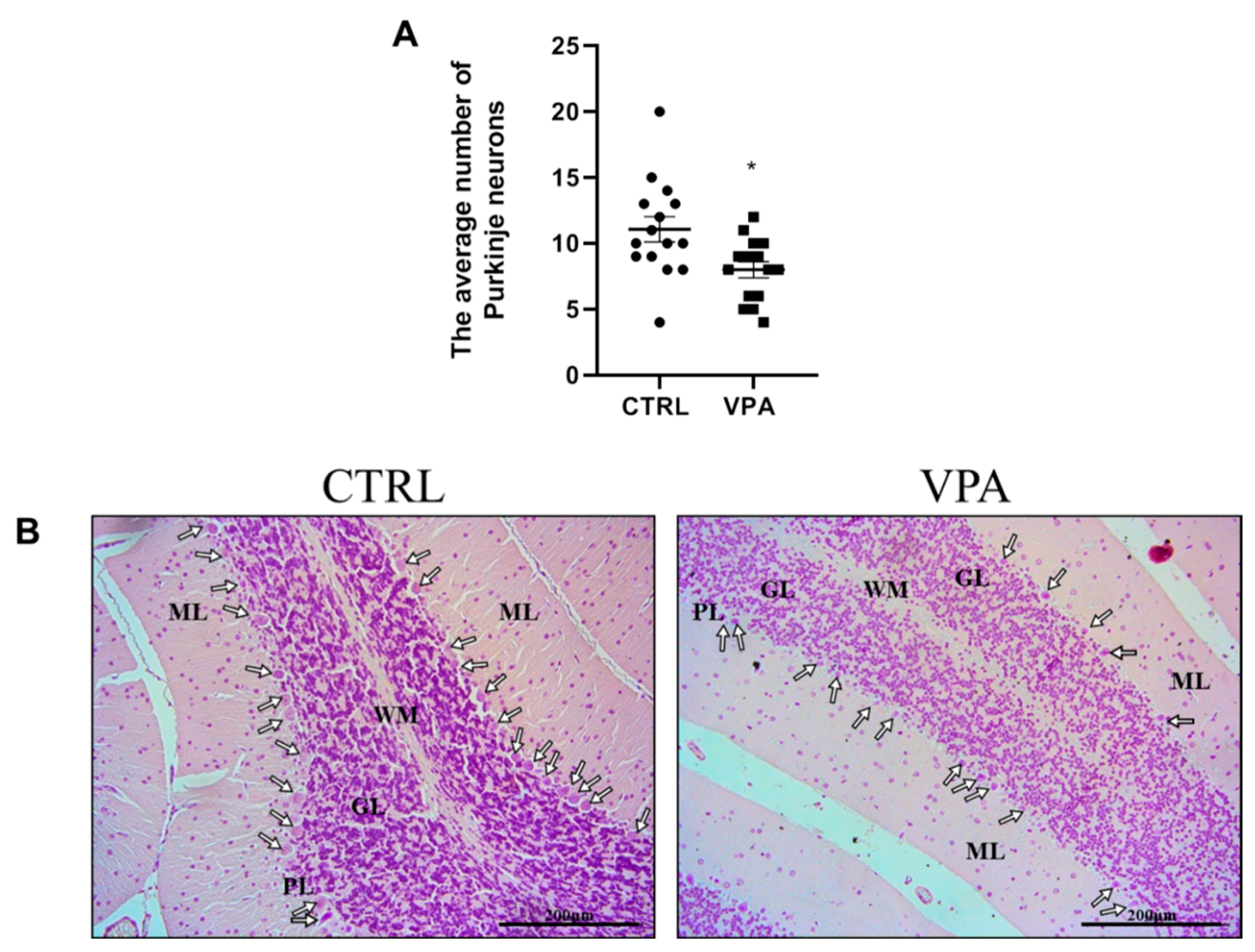 Biomedicines 10 03031 g010 Biomedicines 10 03031 g010
