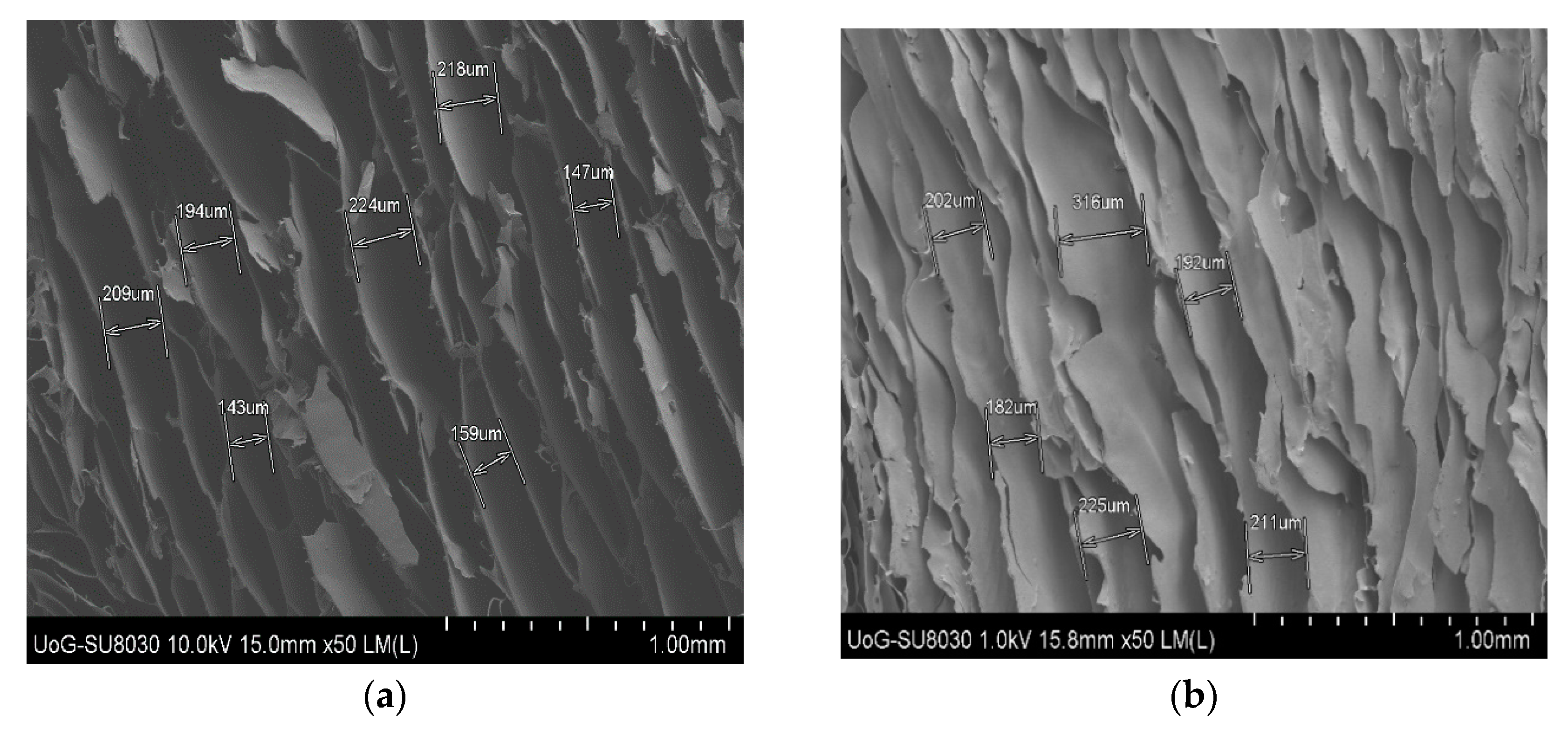 Biomedicines 10 03036 g004a Biomedicines 10 03036 g004a
