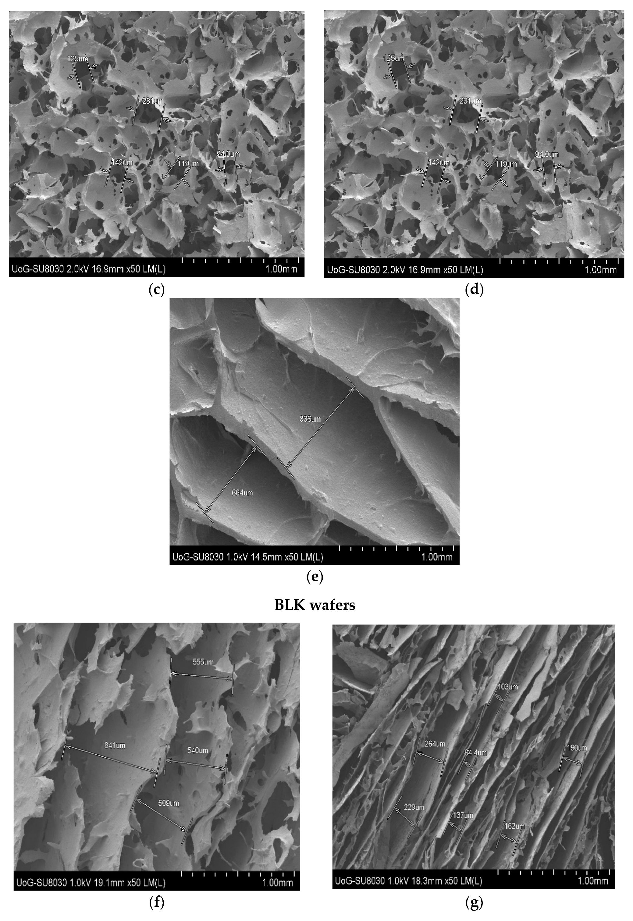 Biomedicines 10 03036 g004b Biomedicines 10 03036 g004b