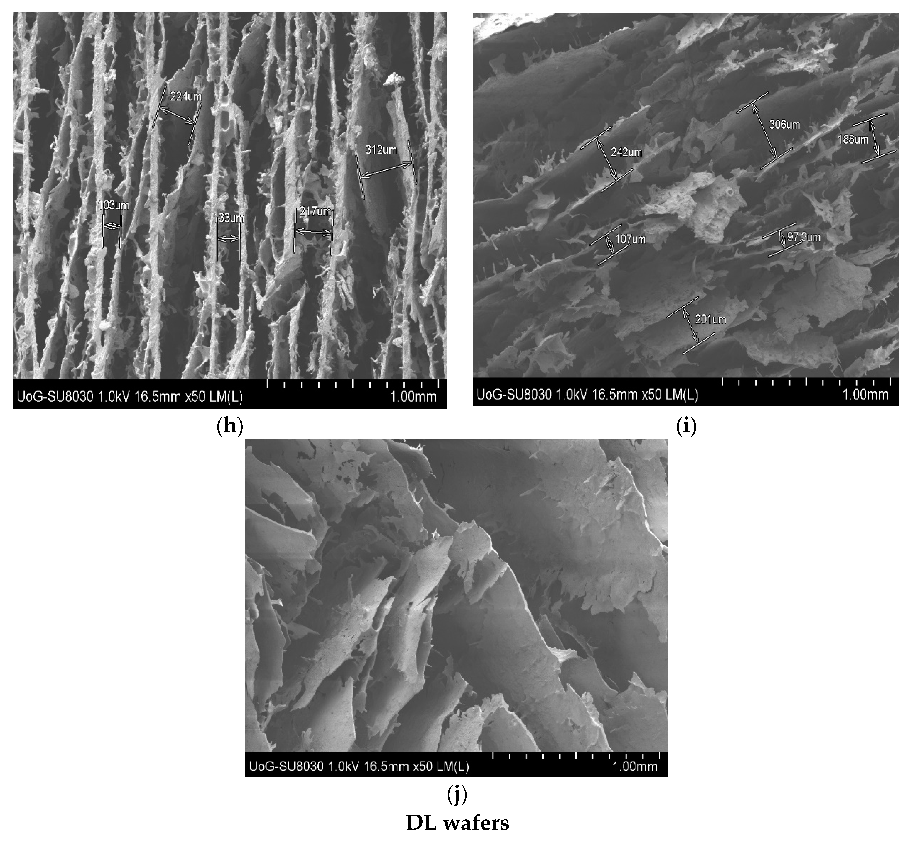 Biomedicines 10 03036 g004c Biomedicines 10 03036 g004c