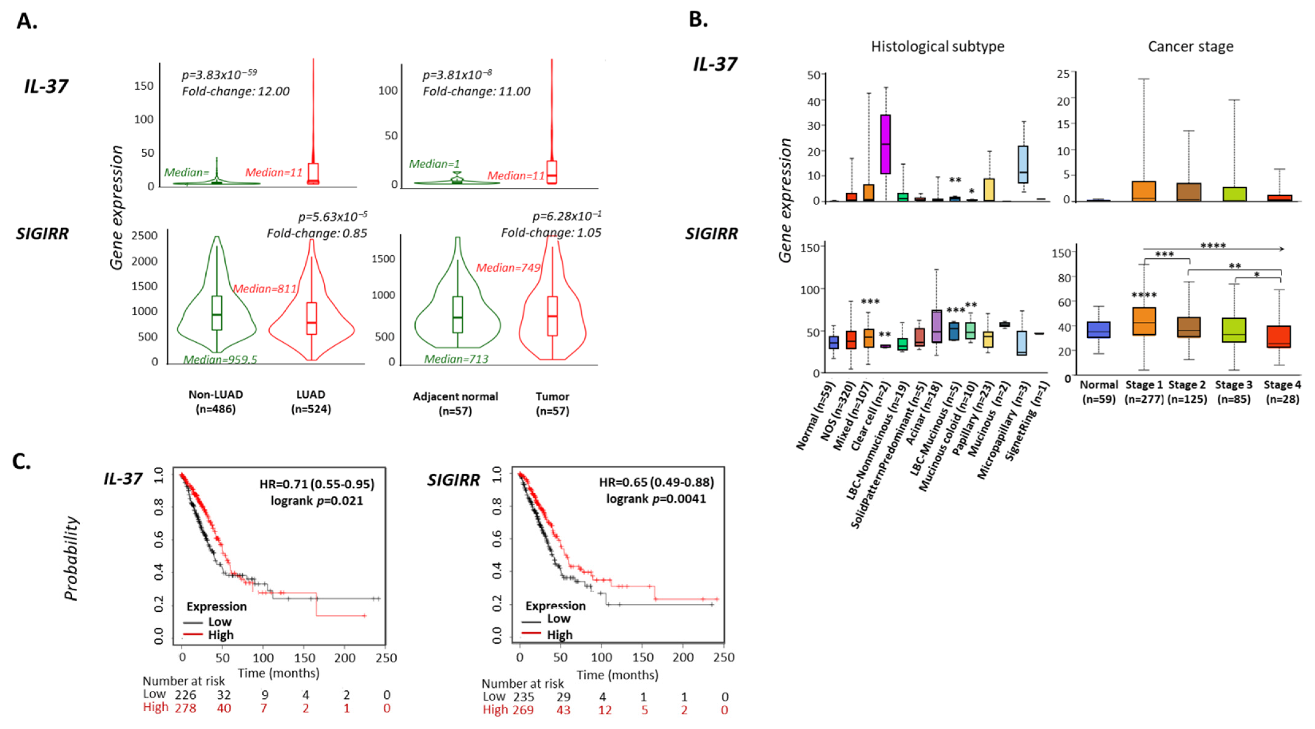 Biomedicines 10 03037 g002