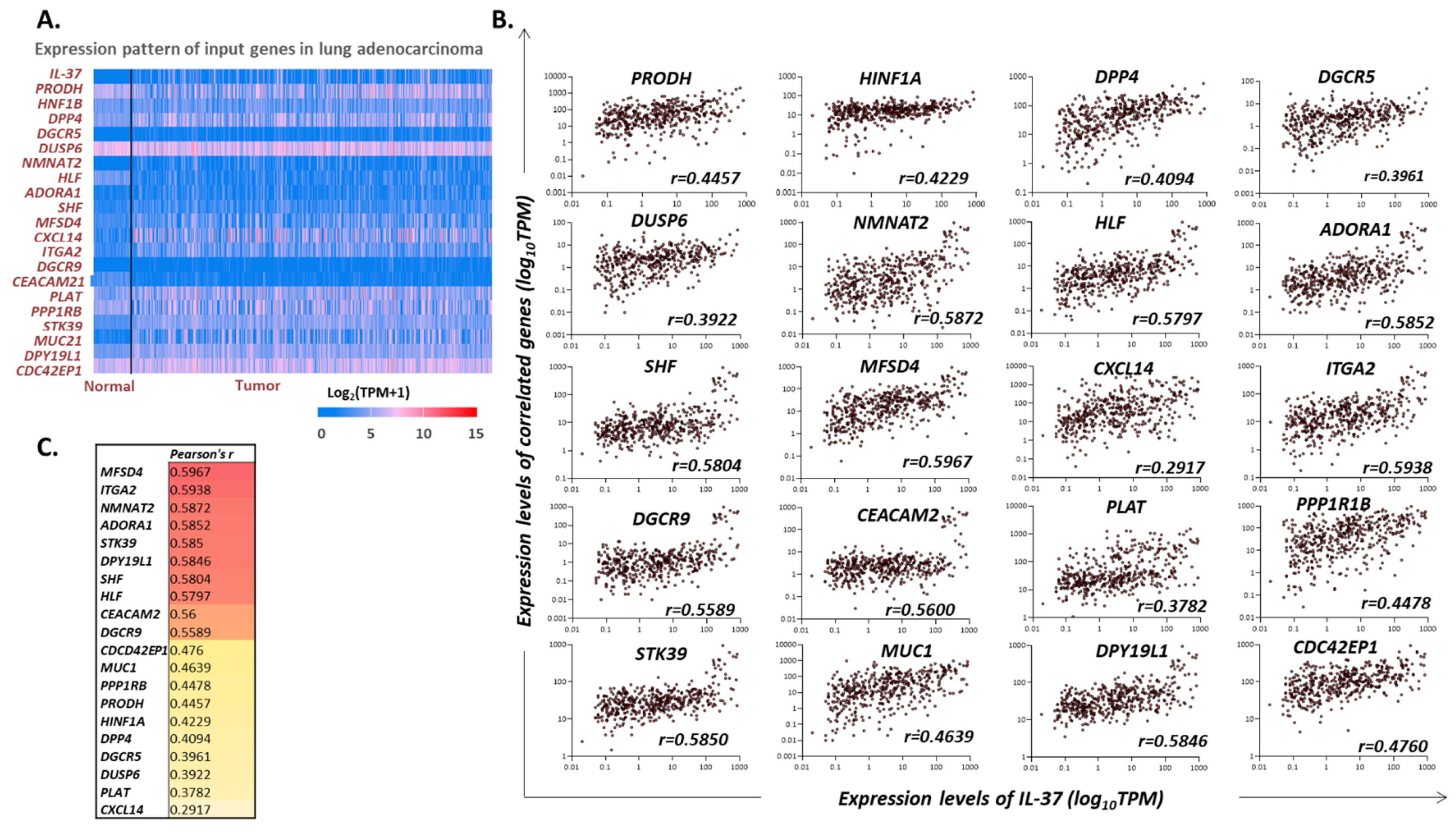 Biomedicines 10 03037 g003