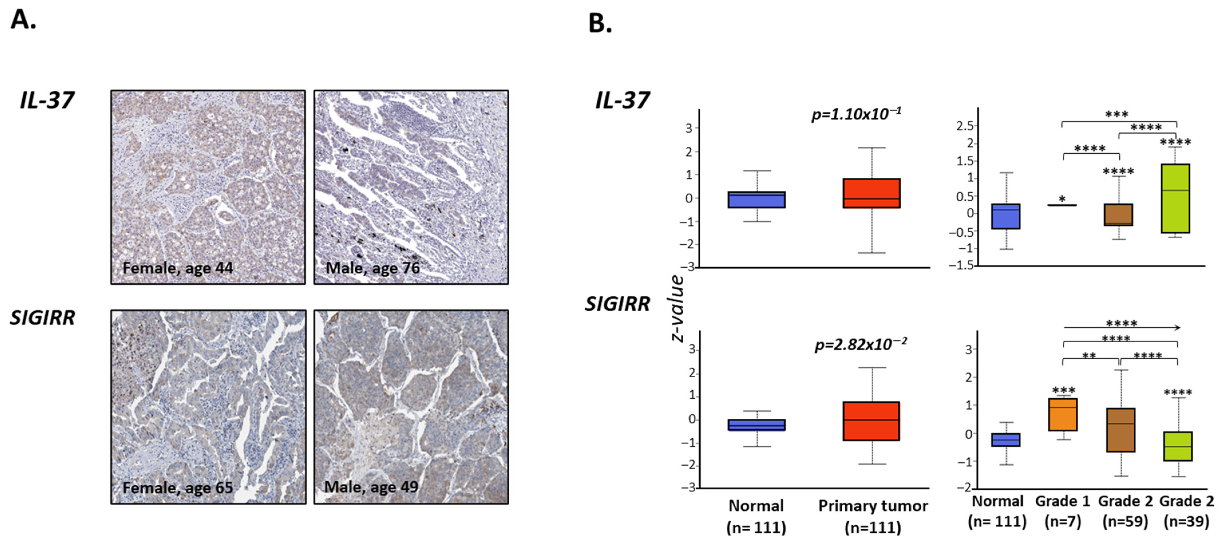 Biomedicines 10 03037 g004