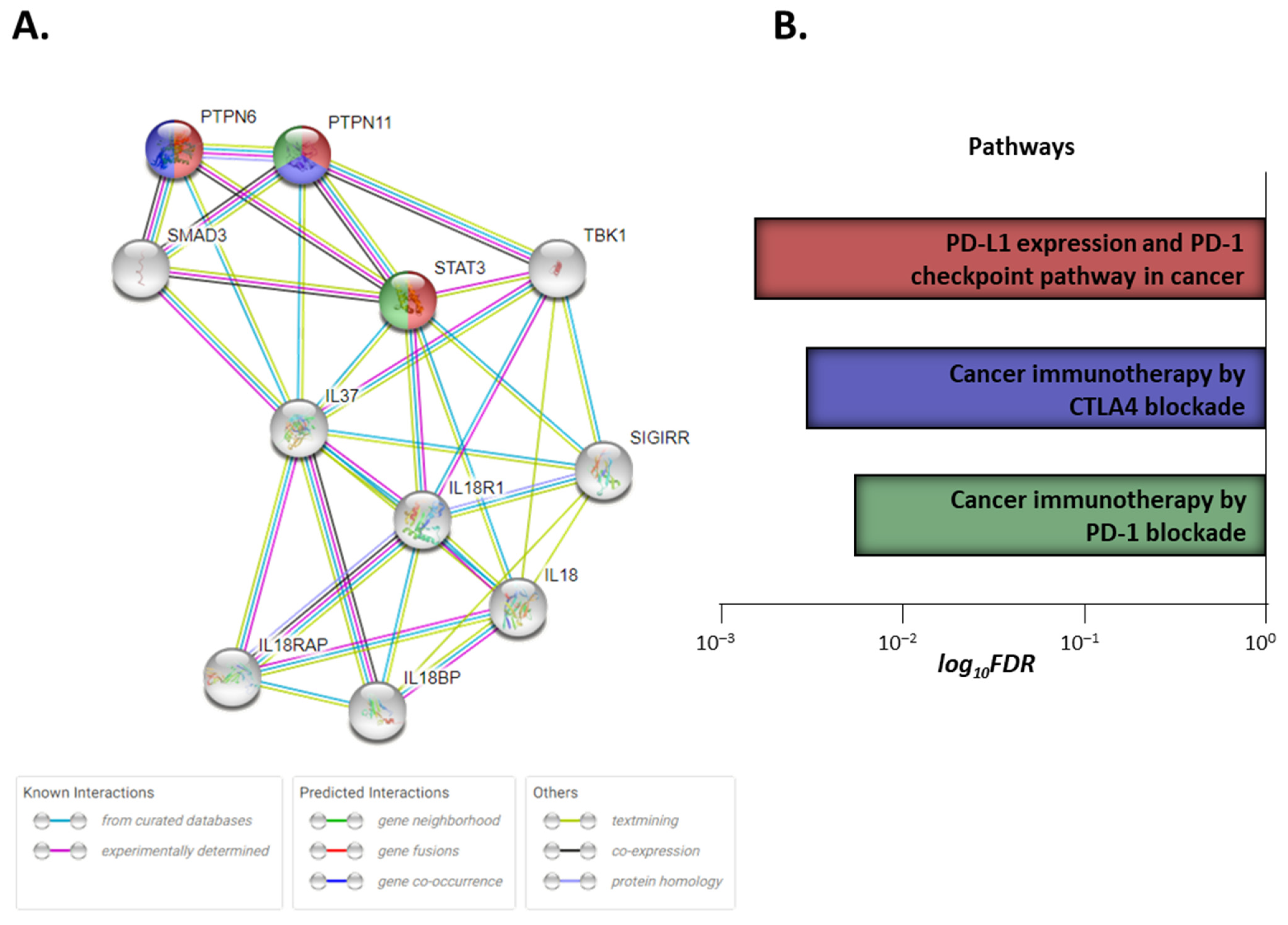 Biomedicines 10 03037 g006
