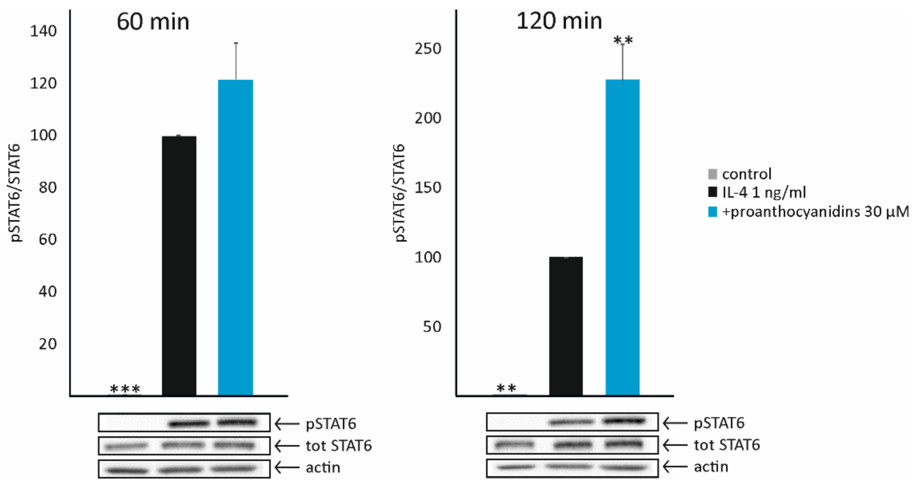 Biomedicines 10 03045 g004
