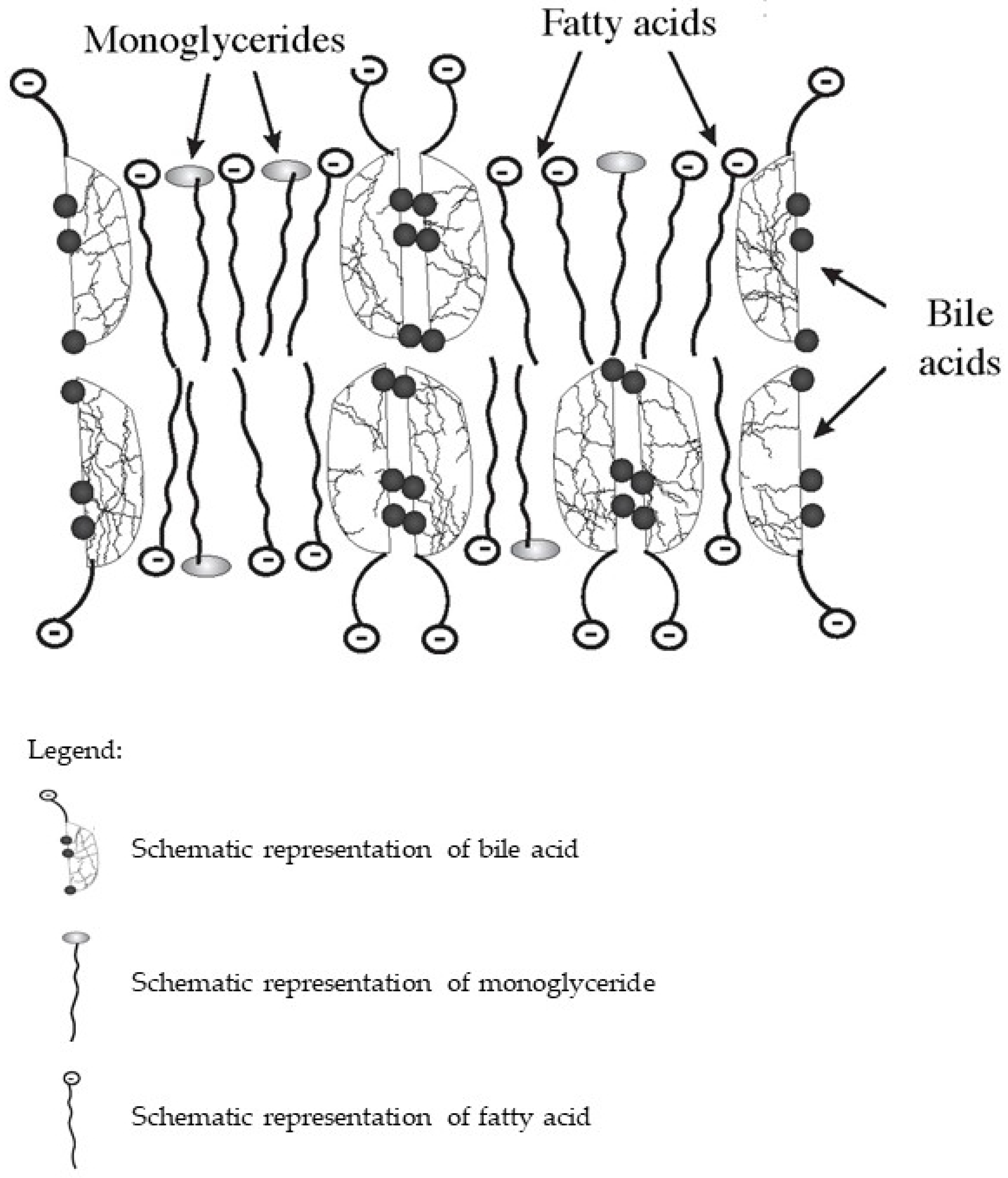 Biomedicines 10 03046 g001