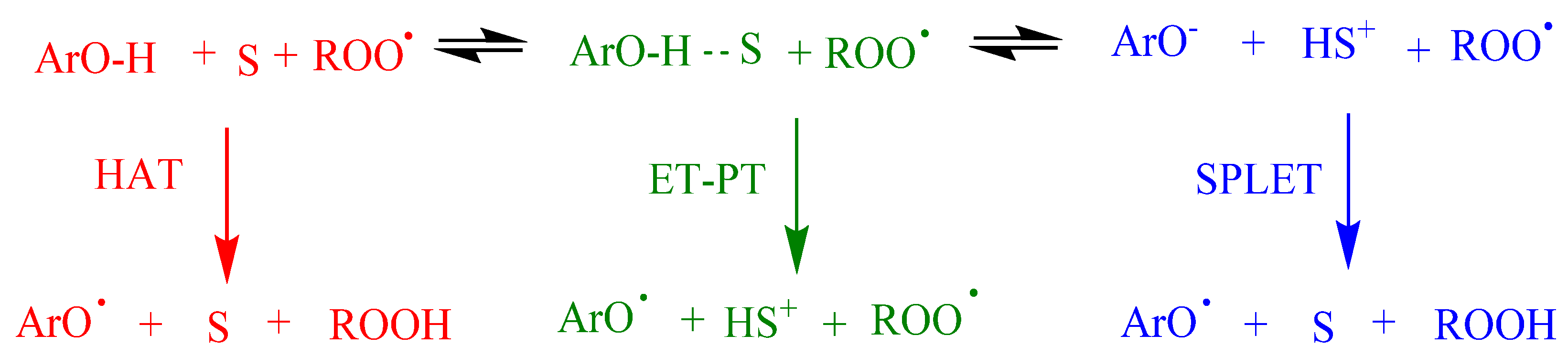 Biomedicines 10 03051 g004