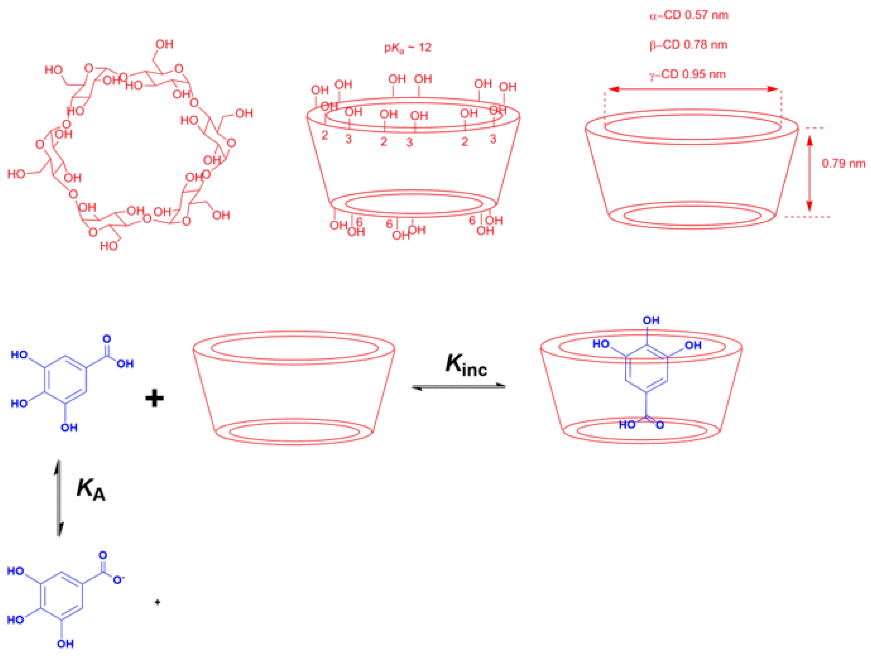 Biomedicines 10 03051 g007