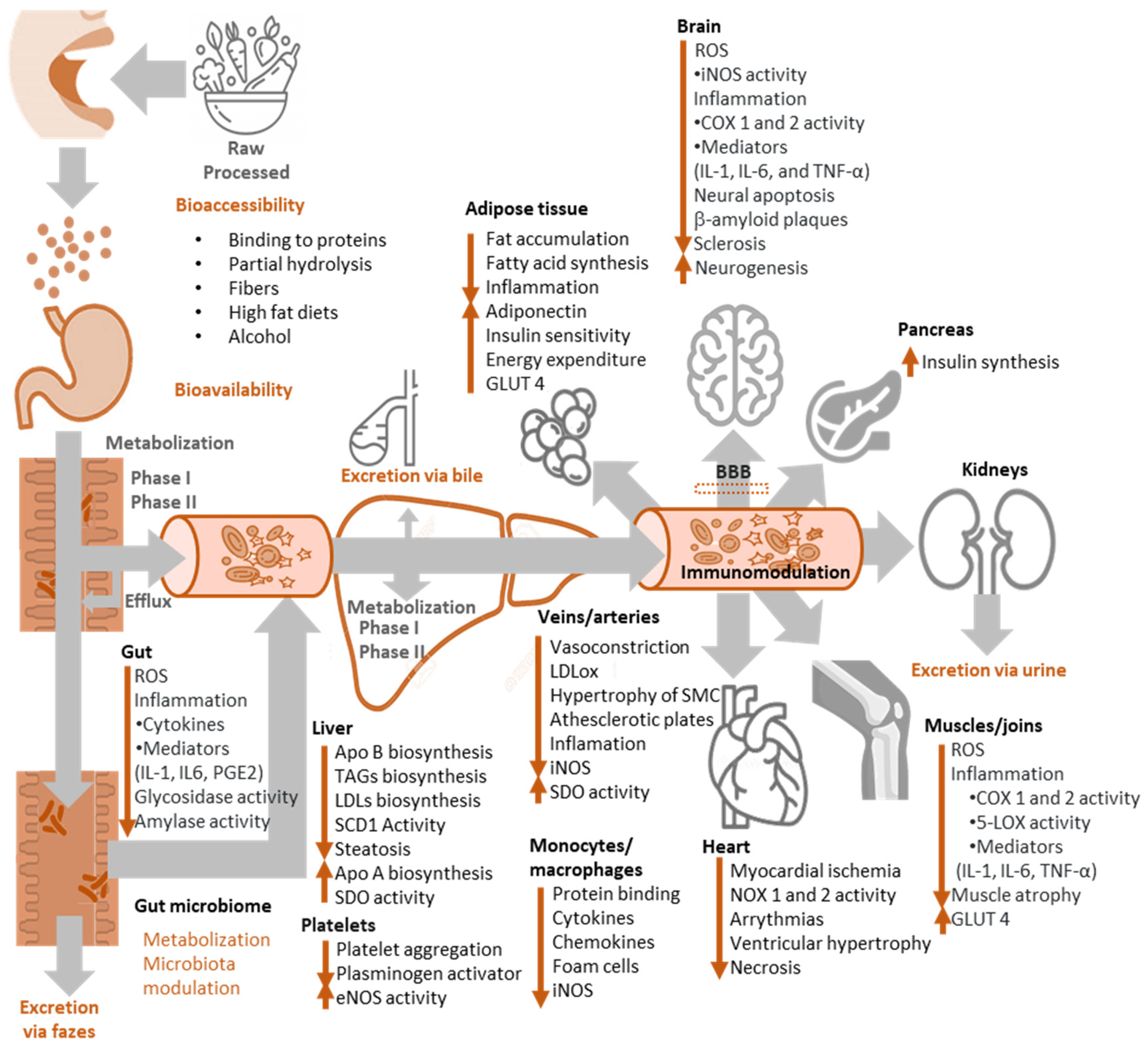 Biomedicines 10 03051 g012