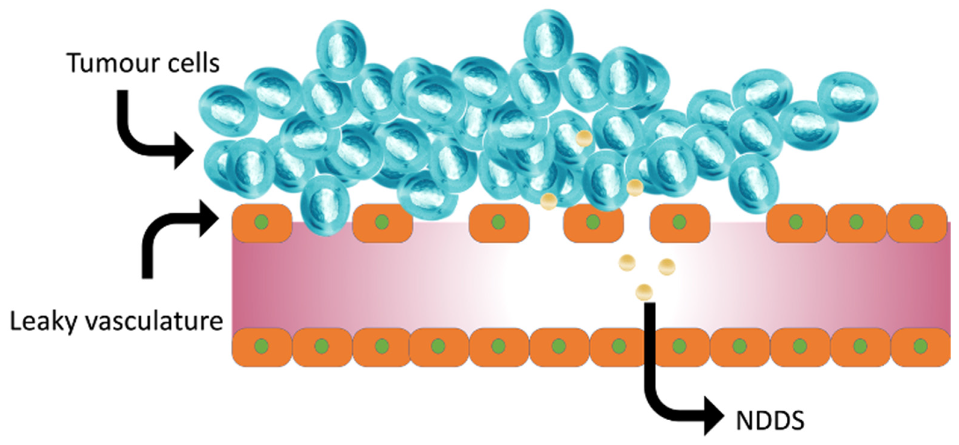 Biomedicines 10 03051 g013