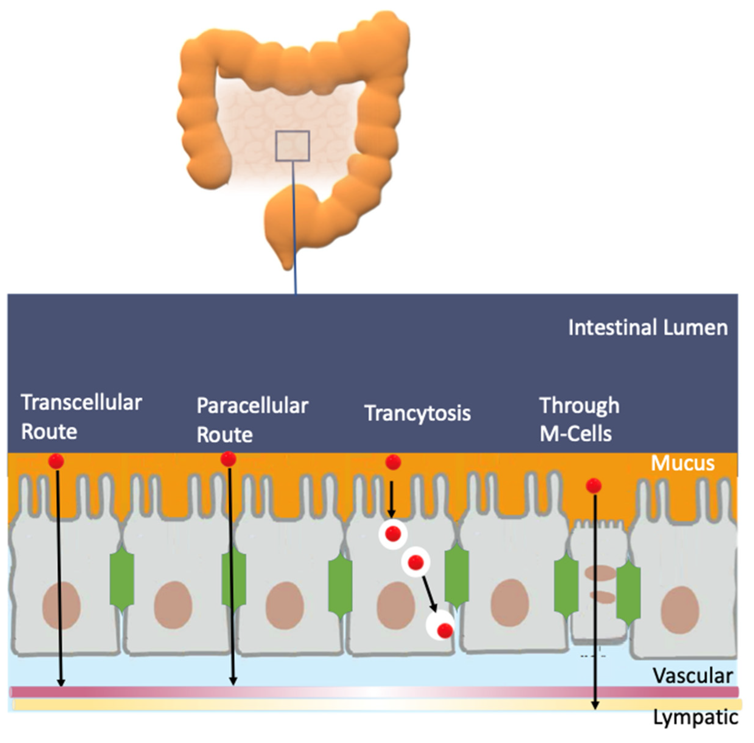 Biomedicines 10 03051 g015
