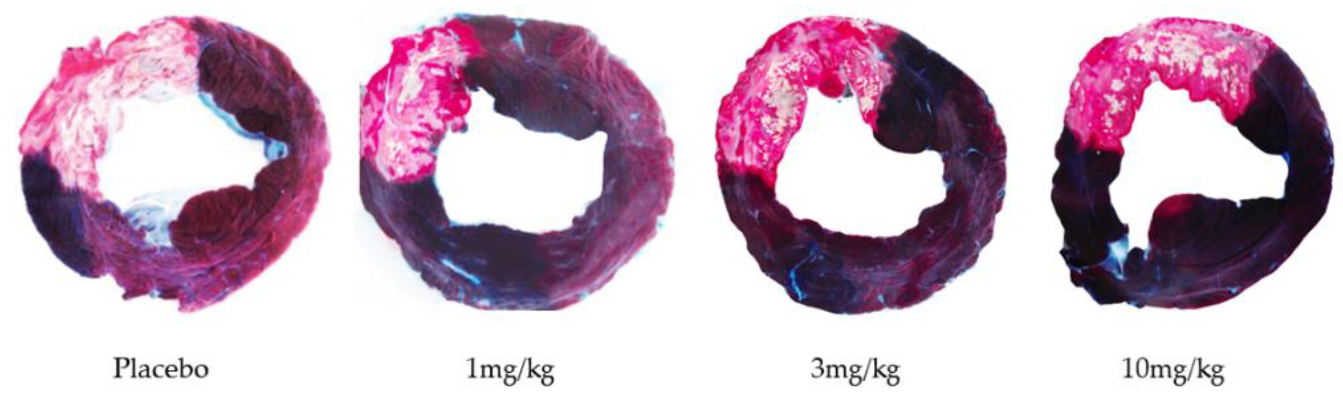 Biomedicines 10 03056 g005 Biomedicines 10 03056 g005