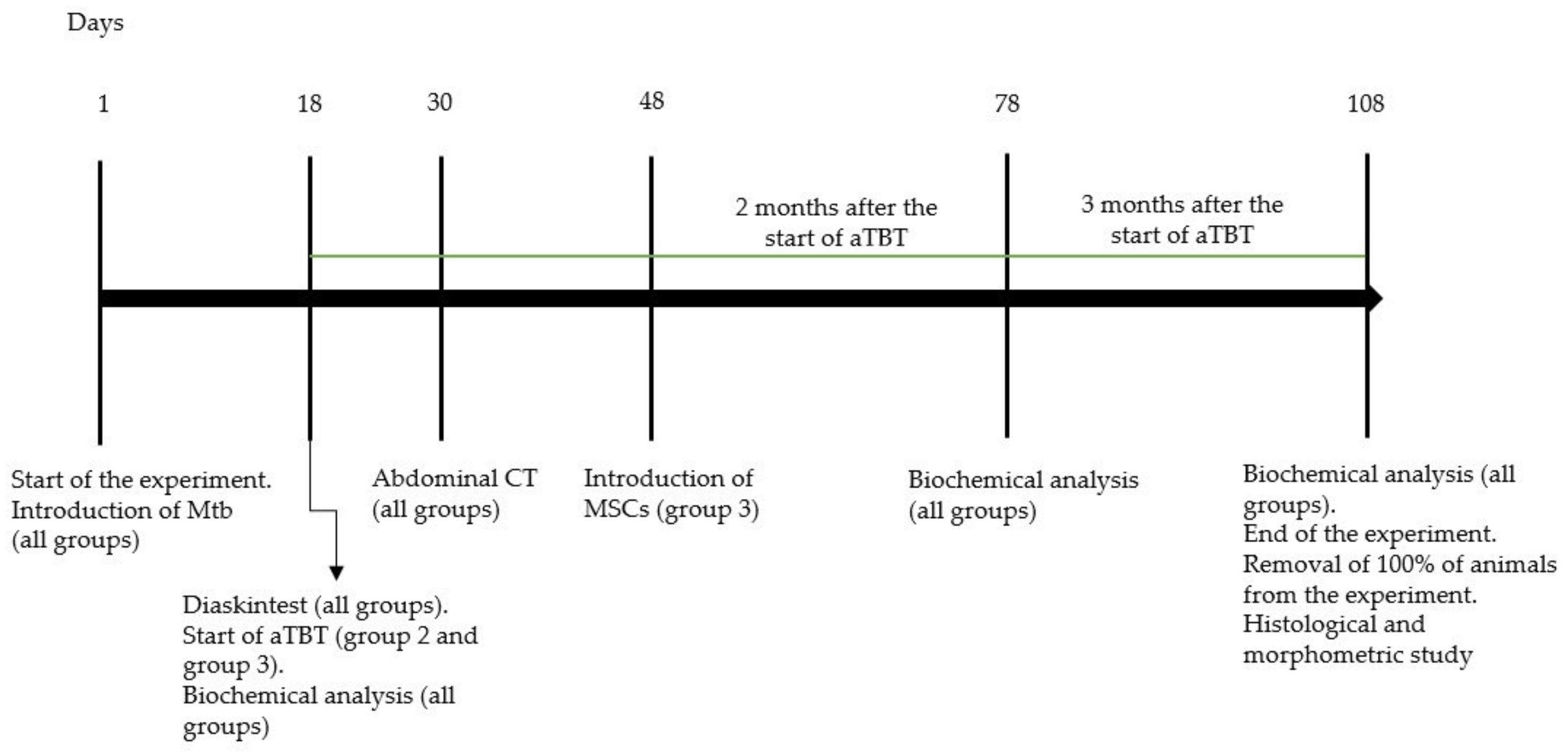 Biomedicines 10 03062 g001 Biomedicines 10 03062 g001