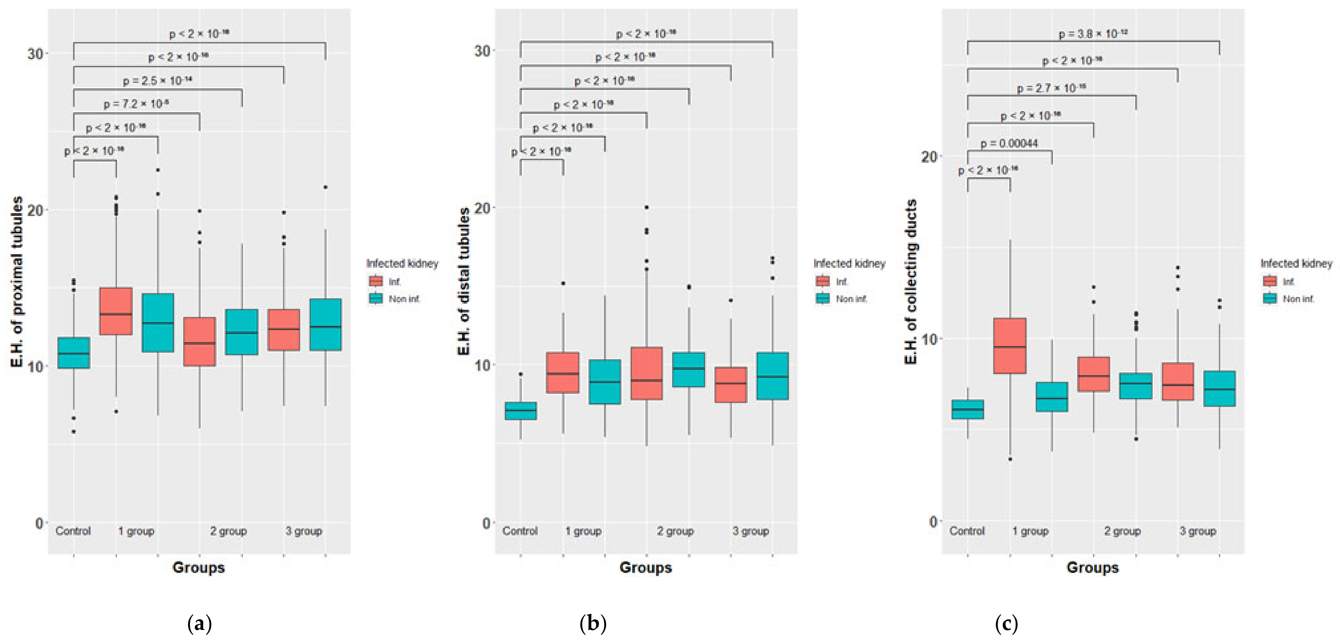 Biomedicines 10 03062 g008 Biomedicines 10 03062 g008