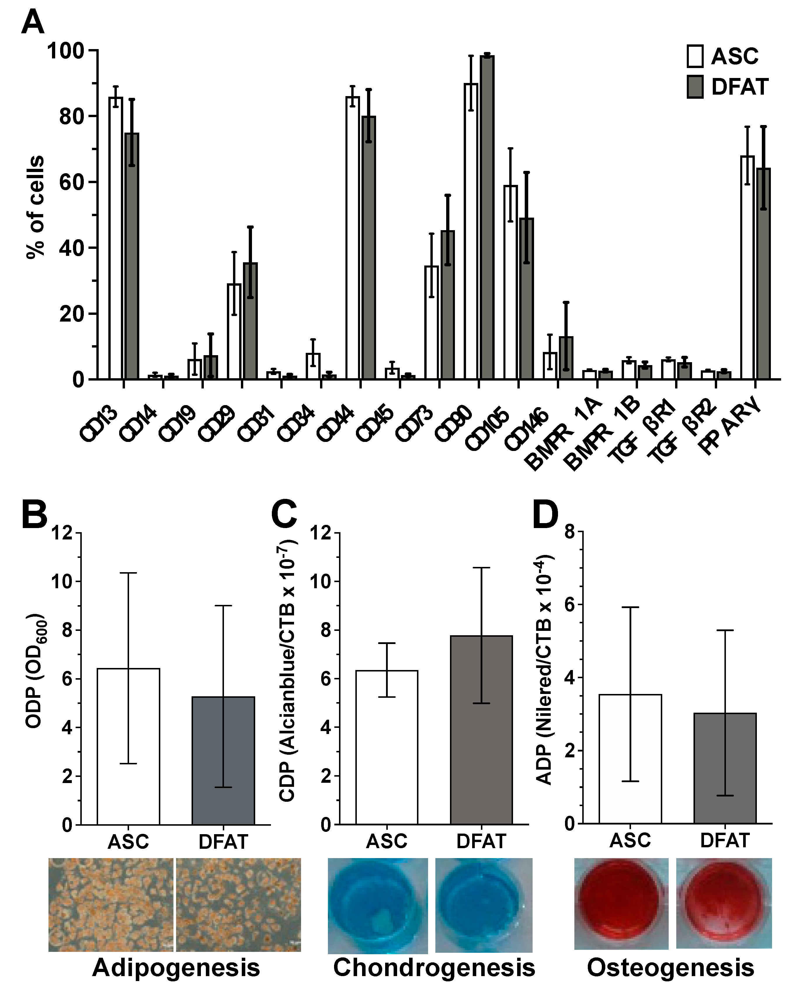 Biomedicines 10 03071 g001