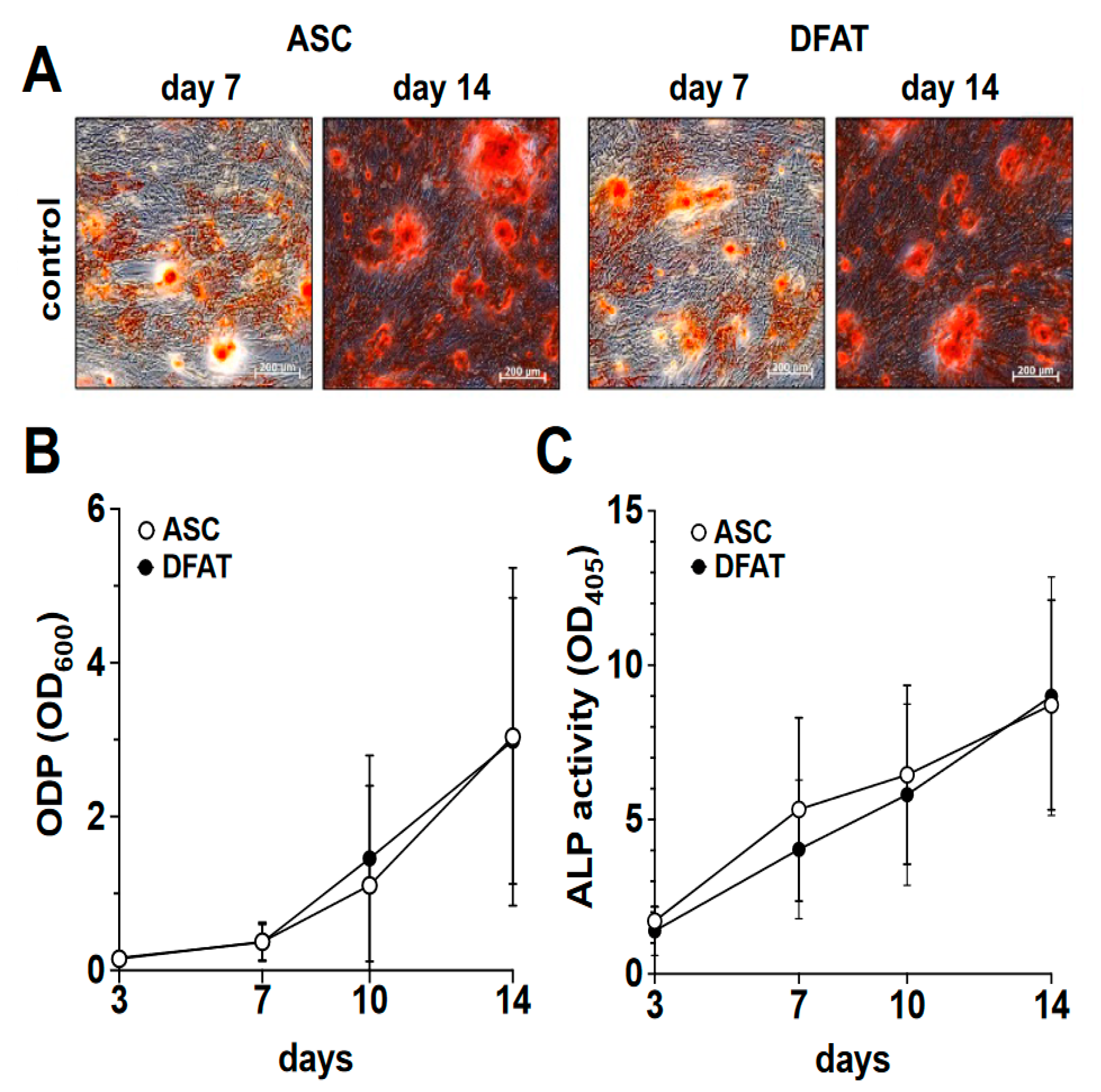 Biomedicines 10 03071 g002