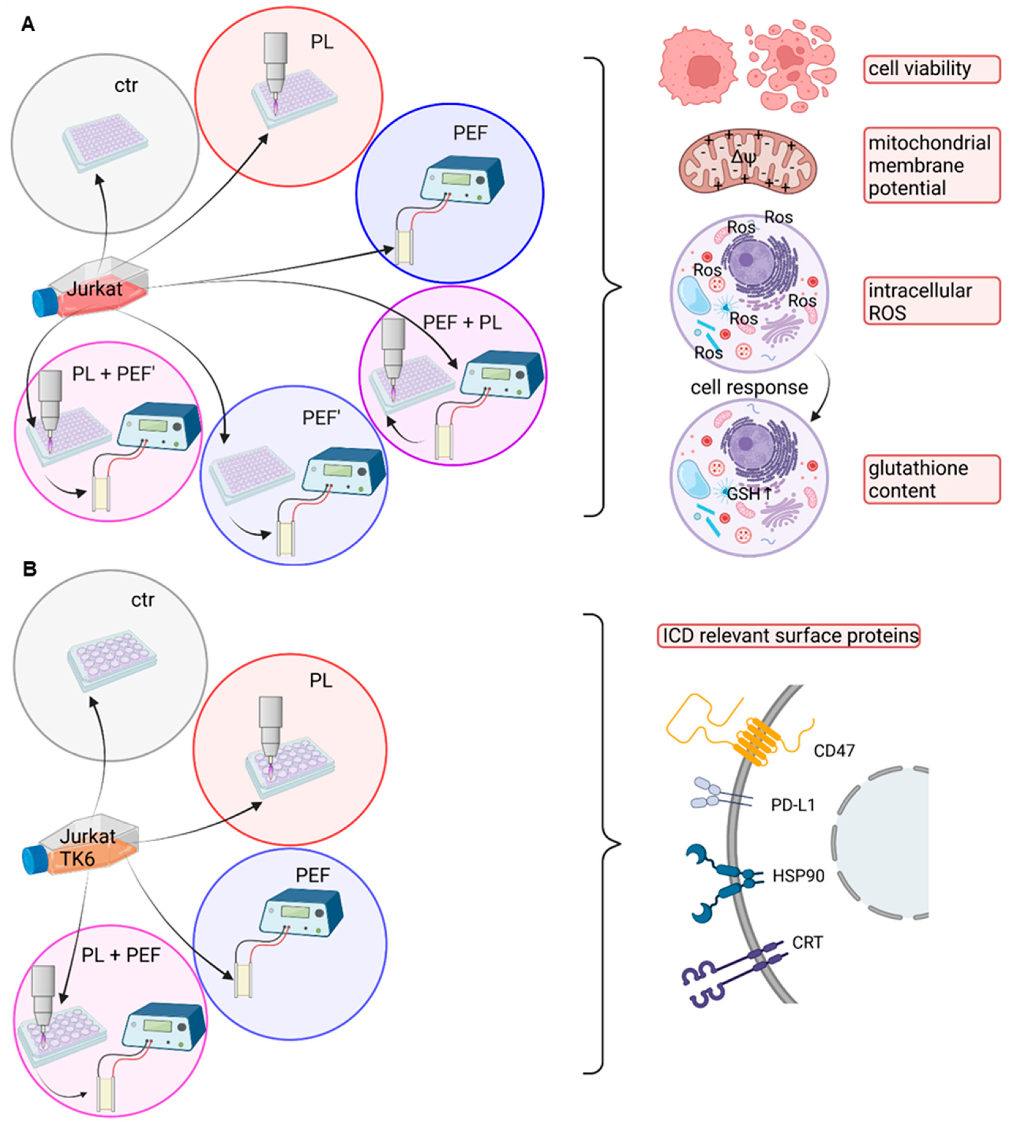 Biomedicines 10 03084 g001 Biomedicines 10 03084 g001