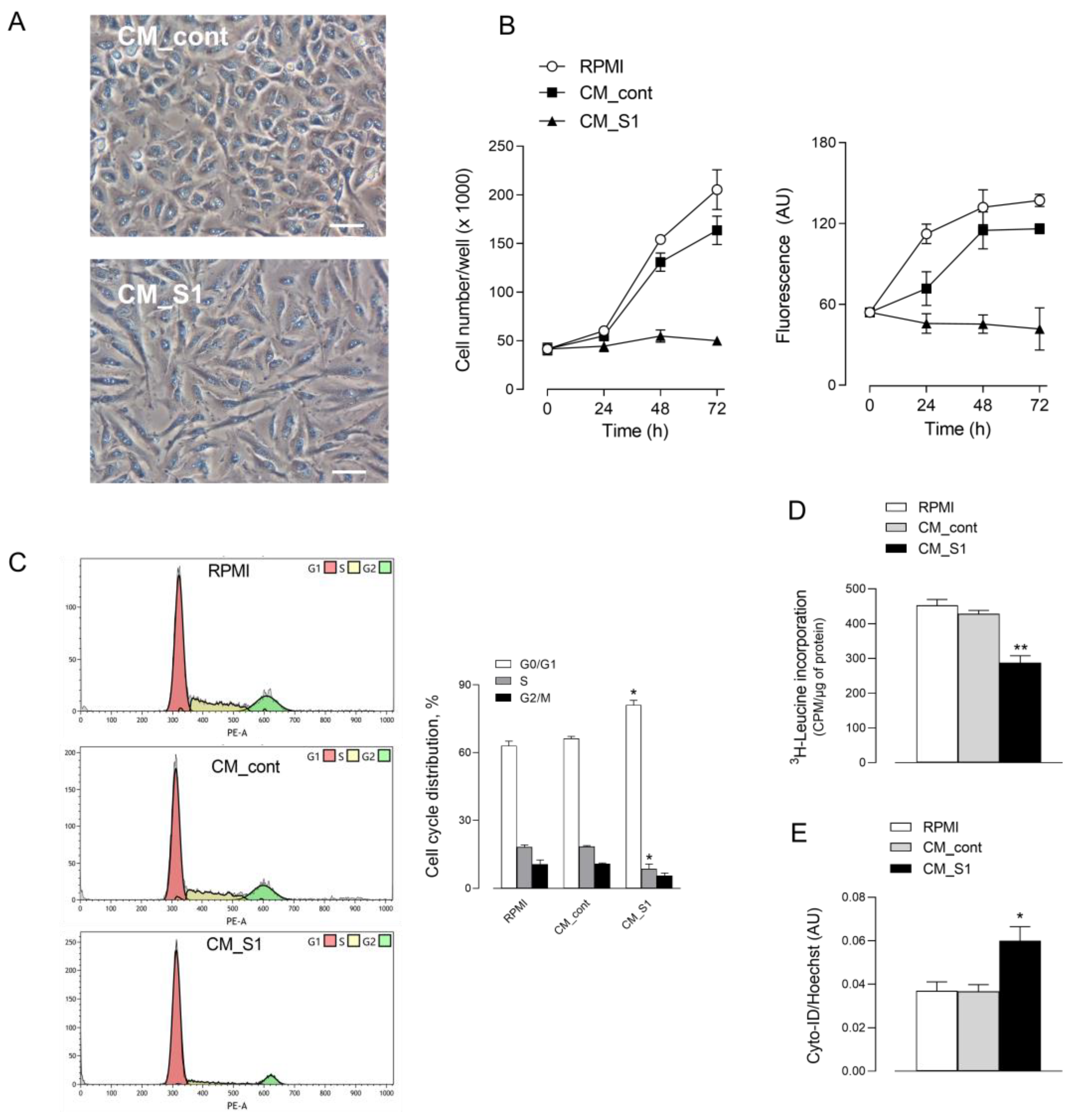 Biomedicines 10 03085 g001 Biomedicines 10 03085 g001