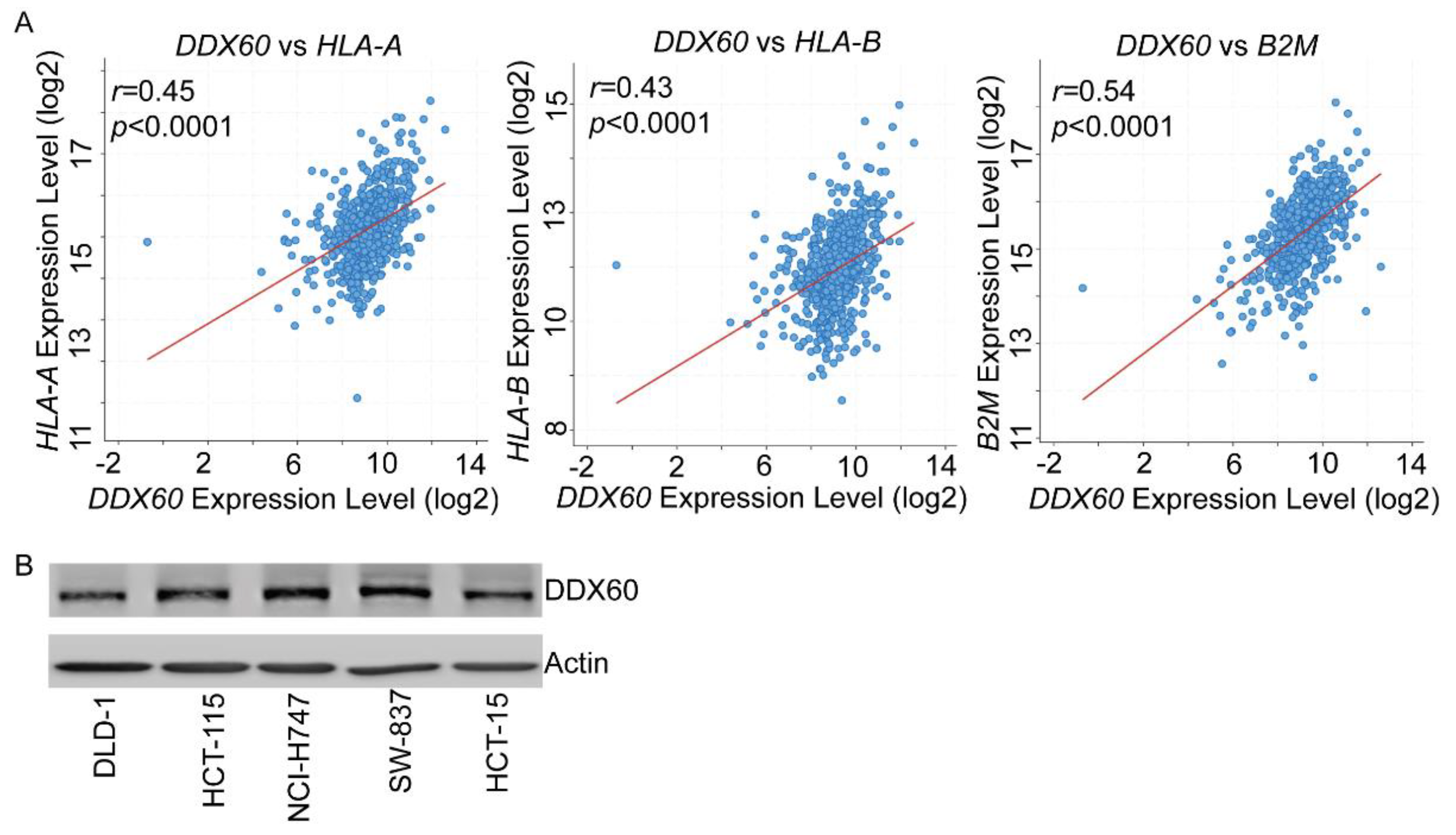 Biomedicines 10 03092 g003 Biomedicines 10 03092 g003