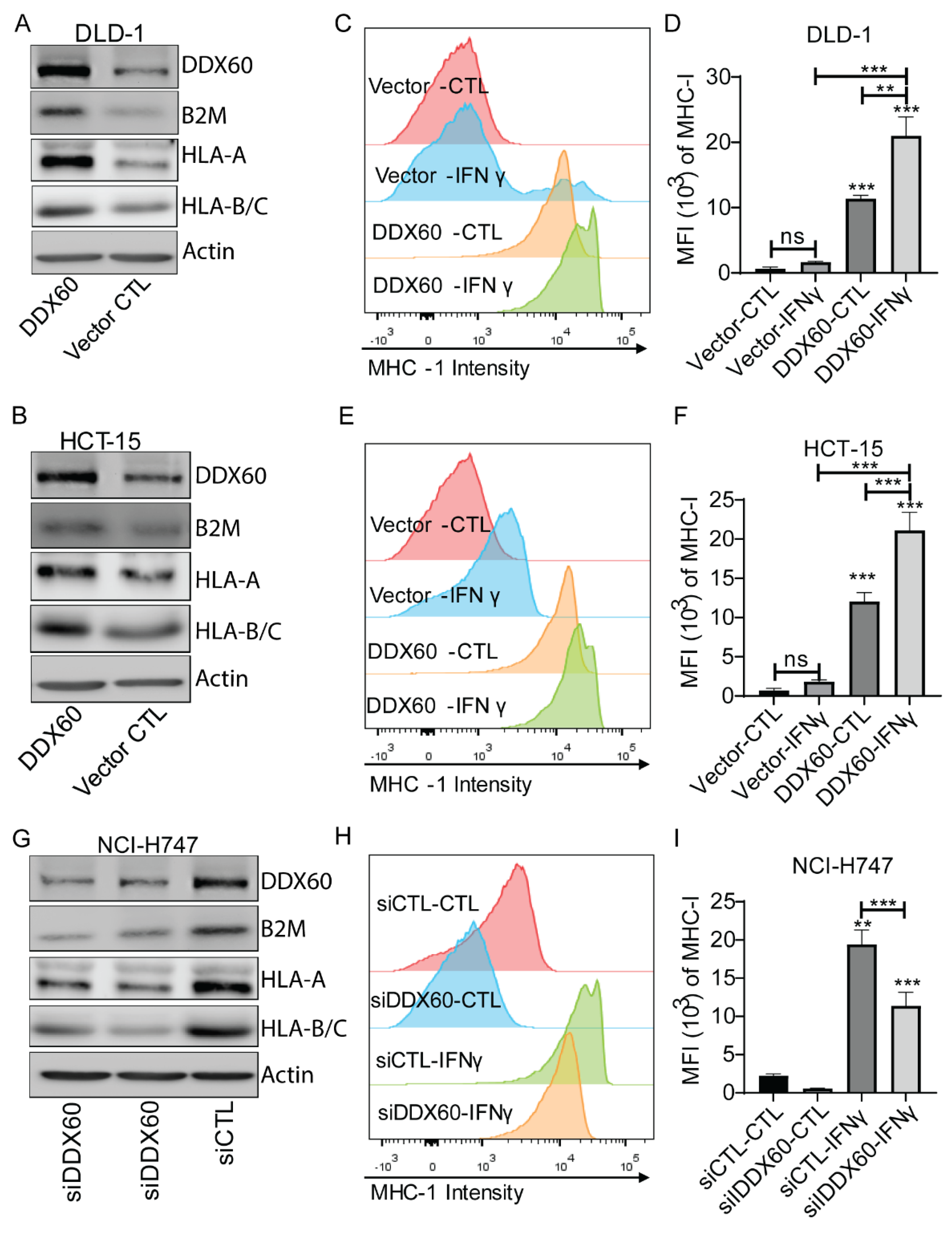 Biomedicines 10 03092 g004 Biomedicines 10 03092 g004