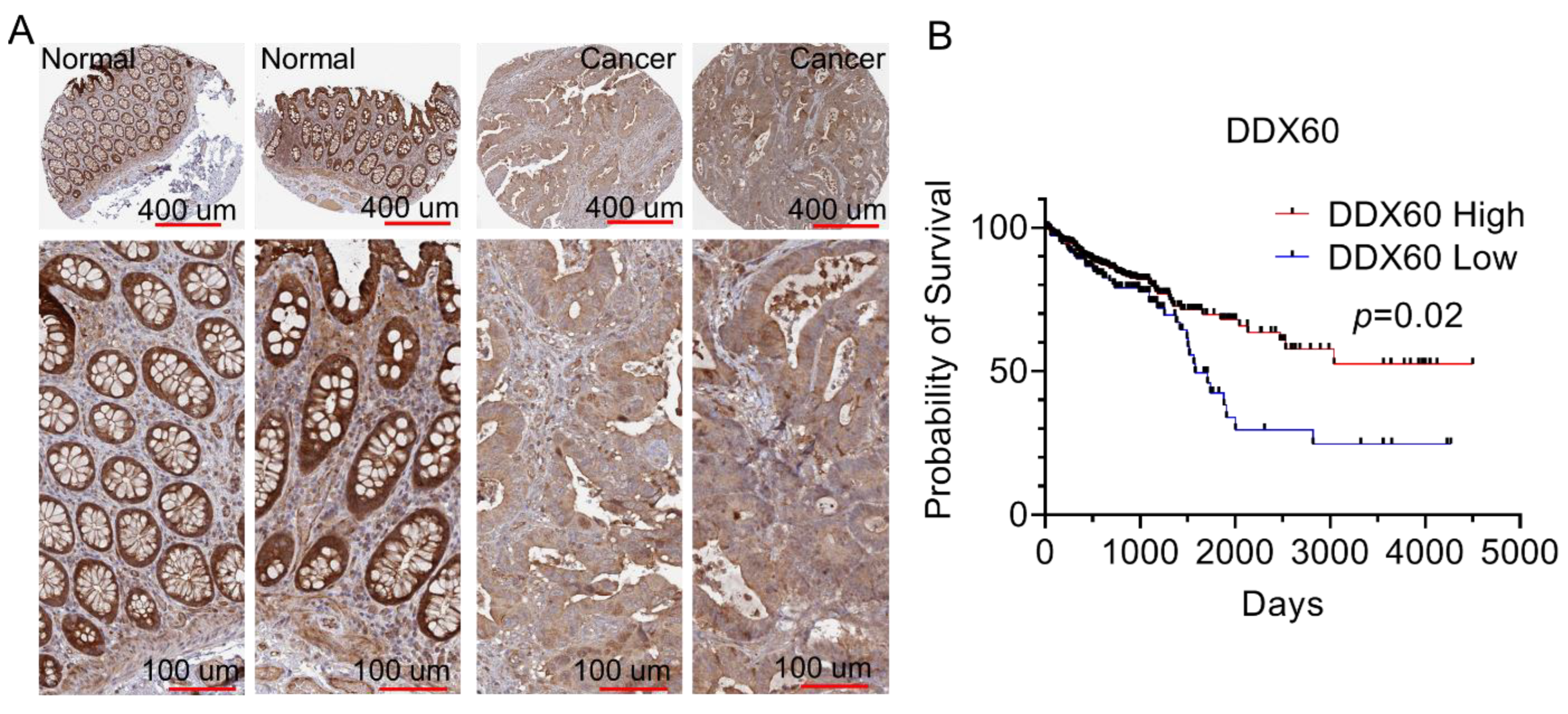 Biomedicines 10 03092 g005 Biomedicines 10 03092 g005