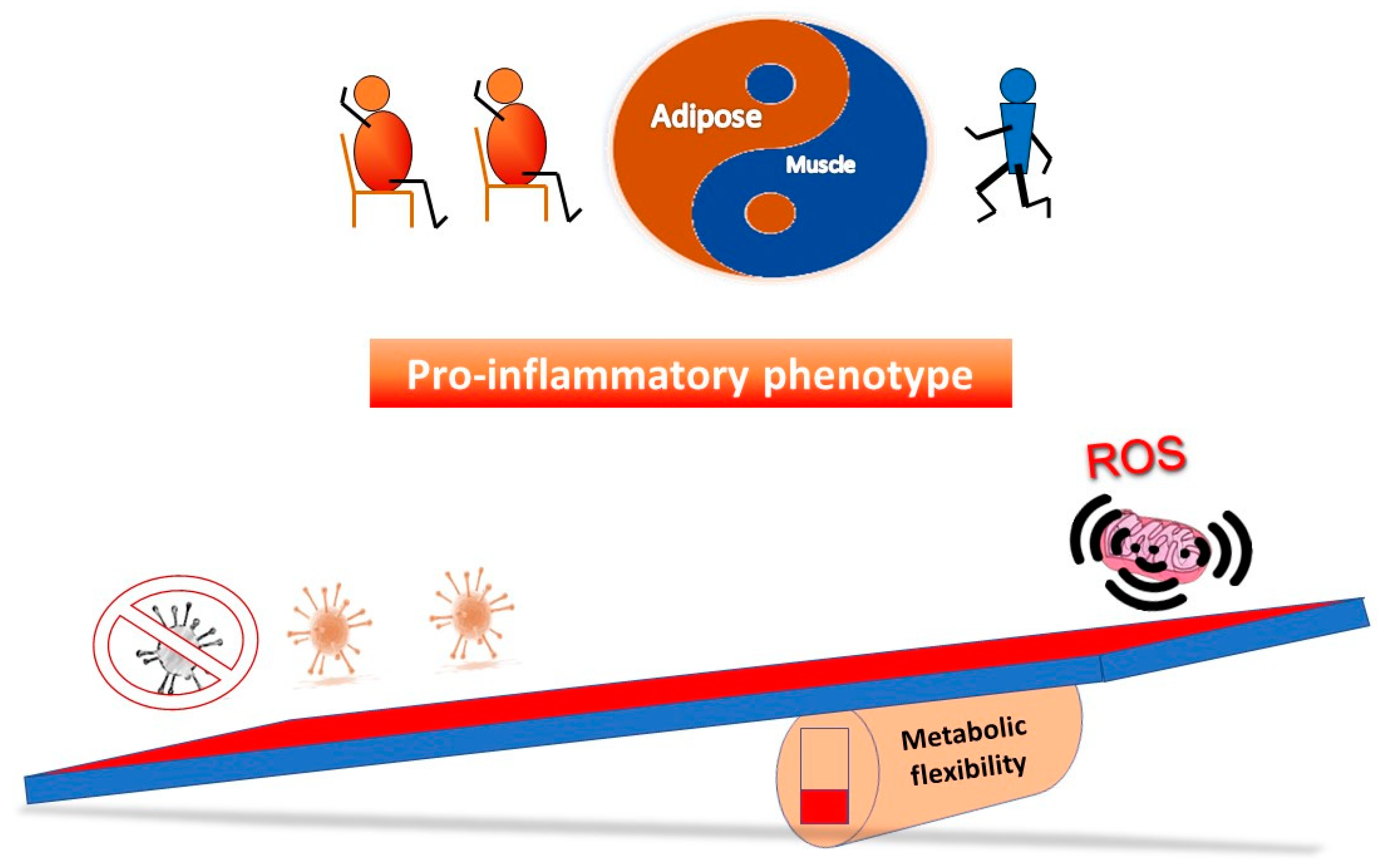 Biomedicines 10 03113 g003
