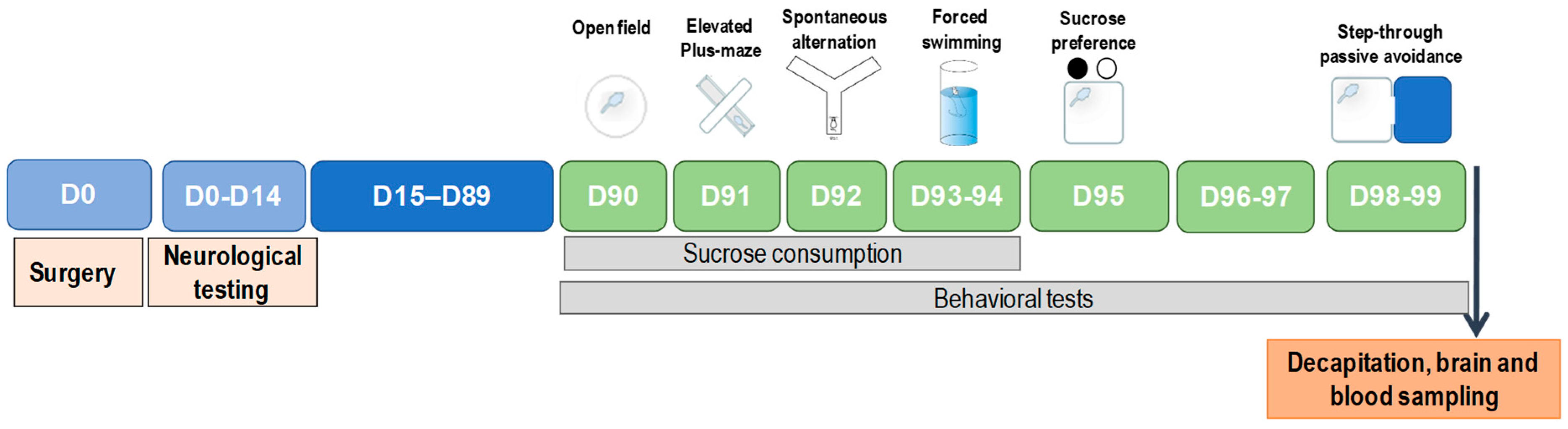 Biomedicines 10 03119 g001 Biomedicines 10 03119 g001