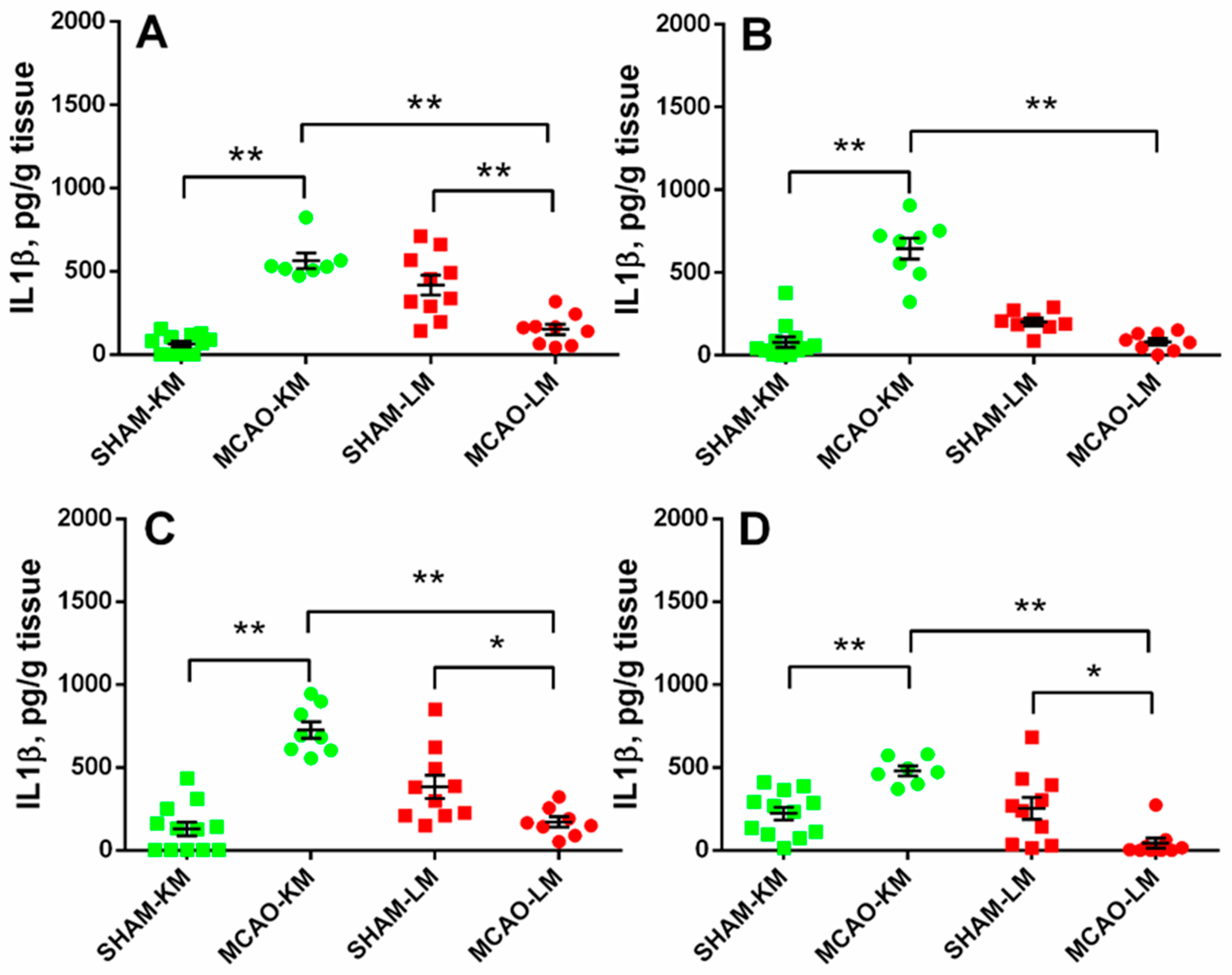 Biomedicines 10 03119 g004 Biomedicines 10 03119 g004