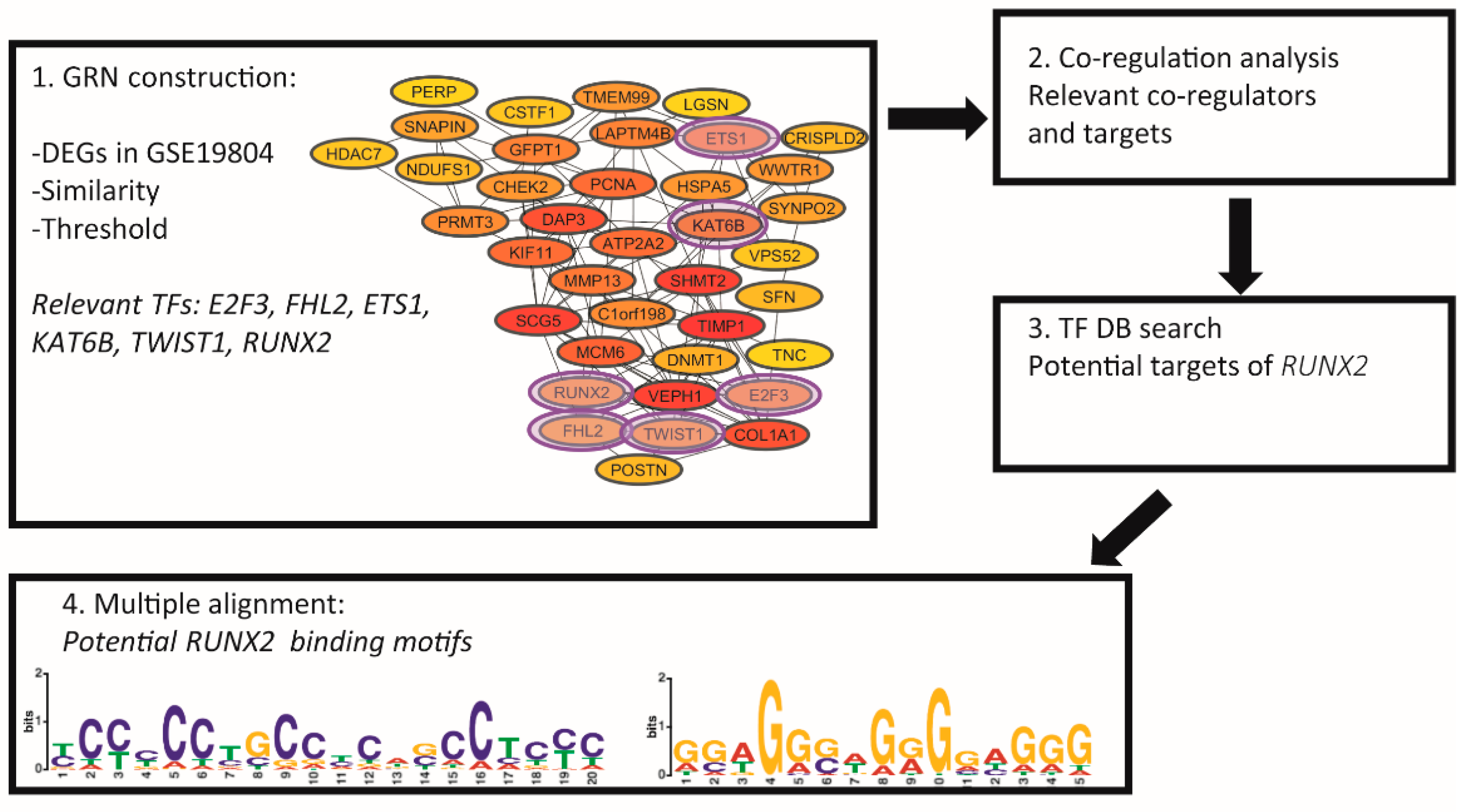 Biomedicines 10 03122 g001