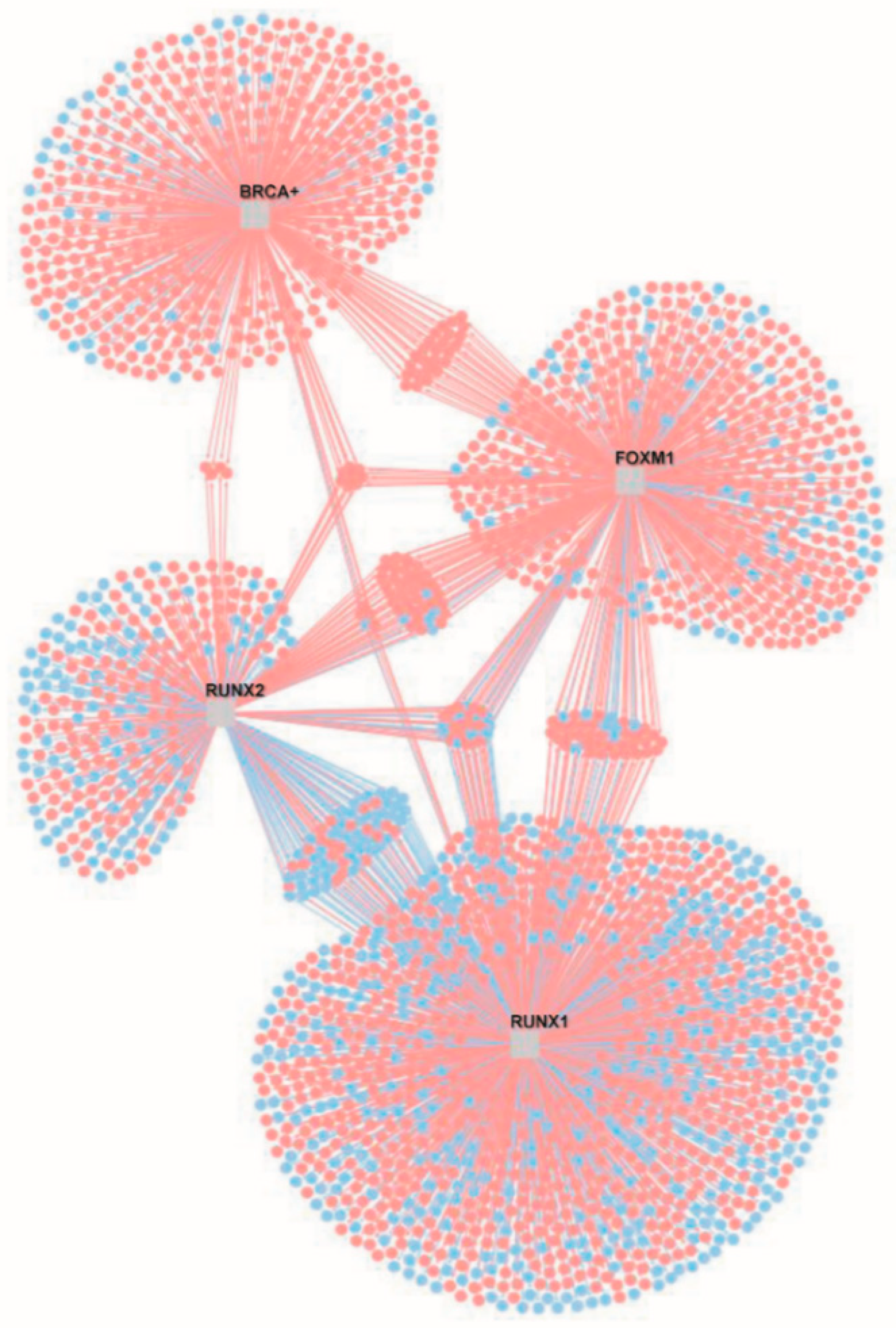 Biomedicines 10 03122 g003