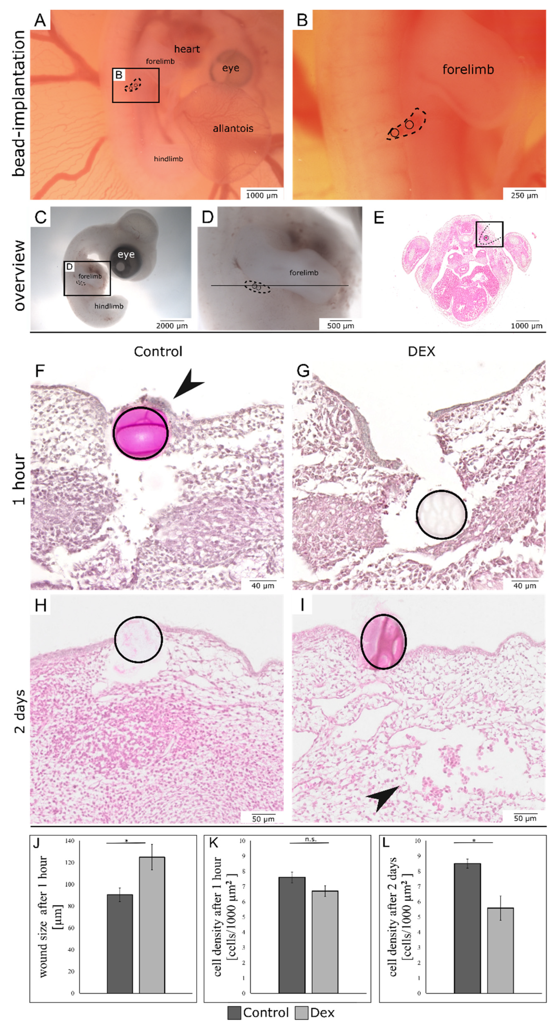 Biomedicines 10 03125 g001