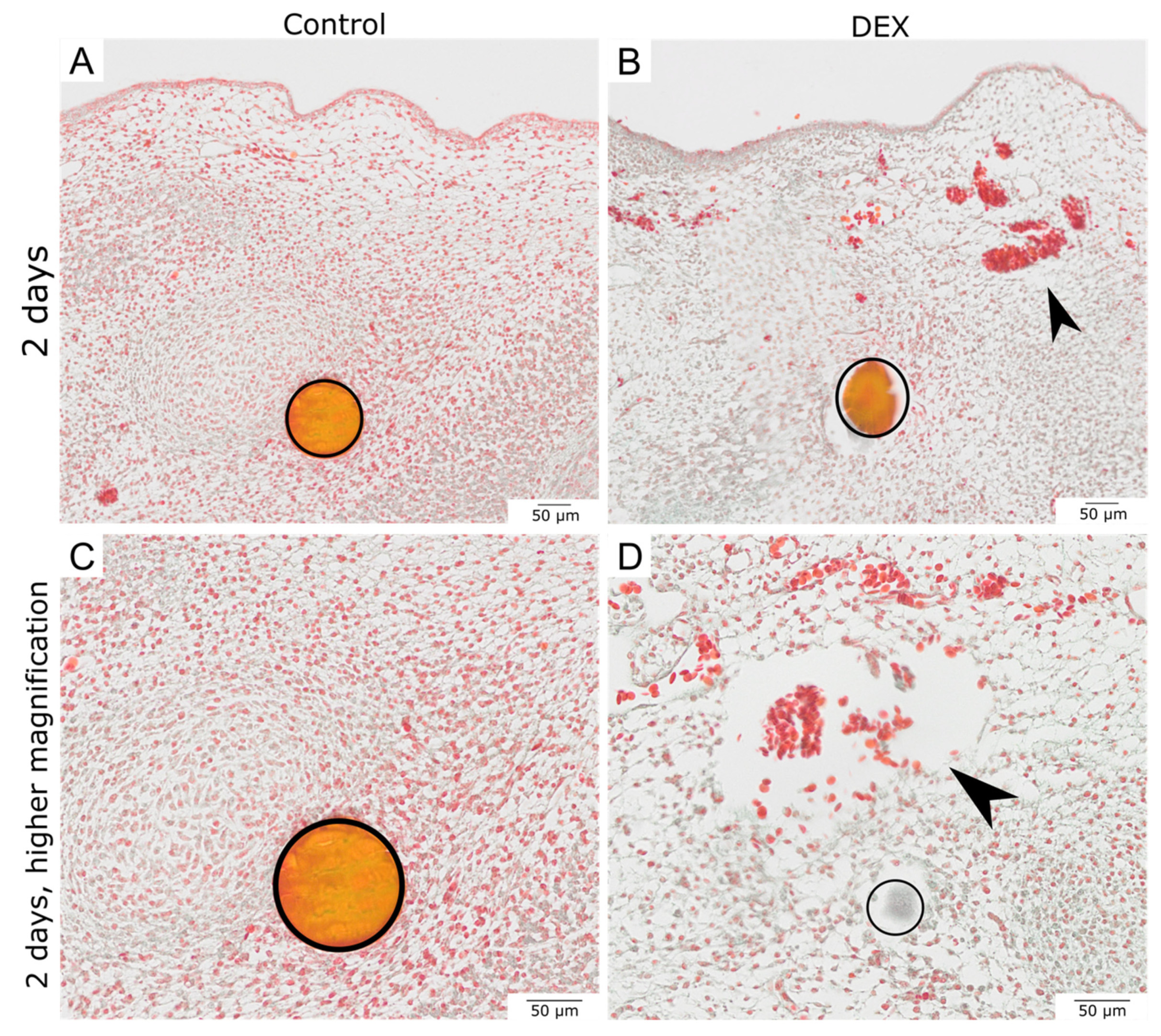 Biomedicines 10 03125 g002