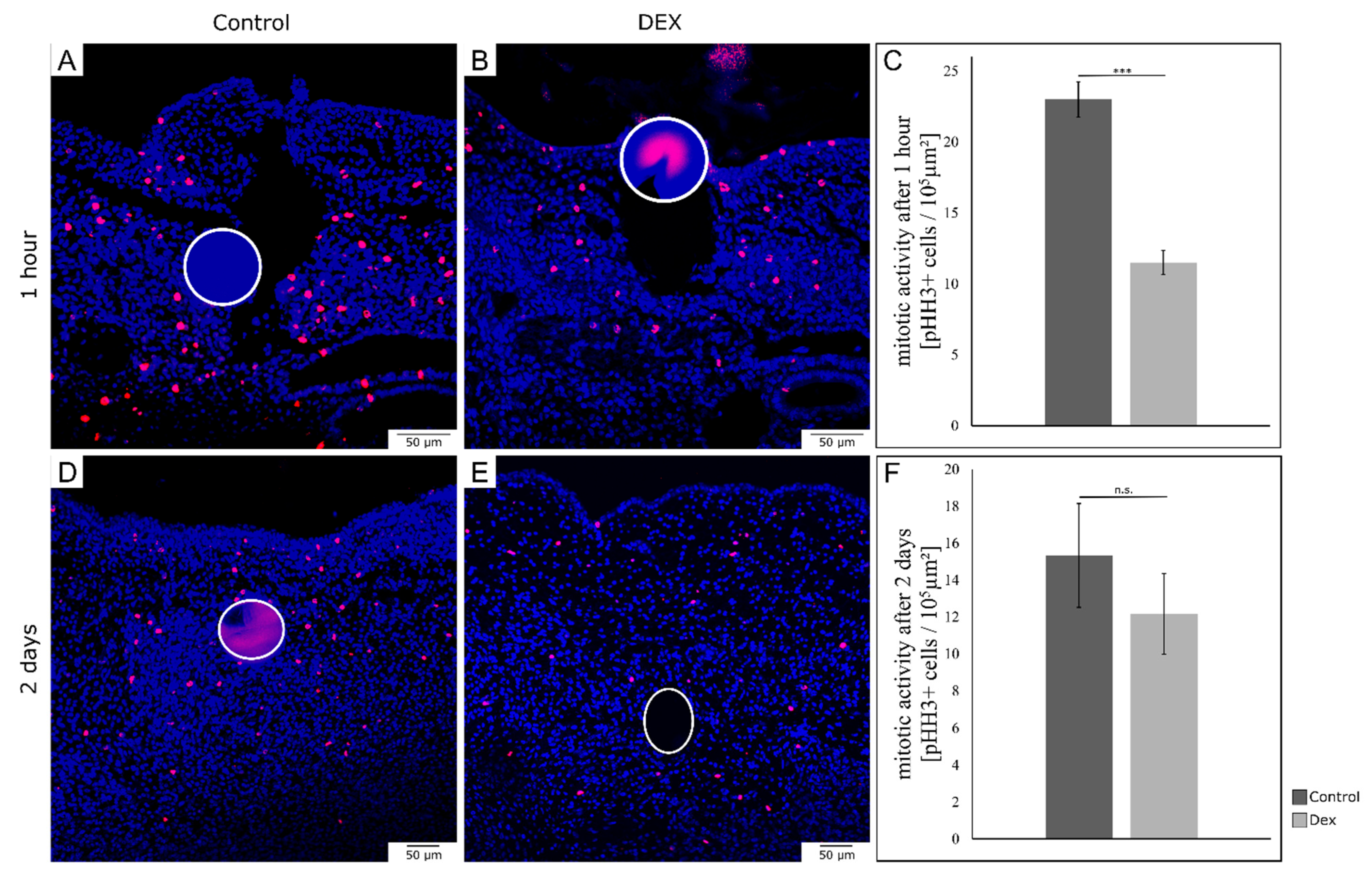 Biomedicines 10 03125 g005