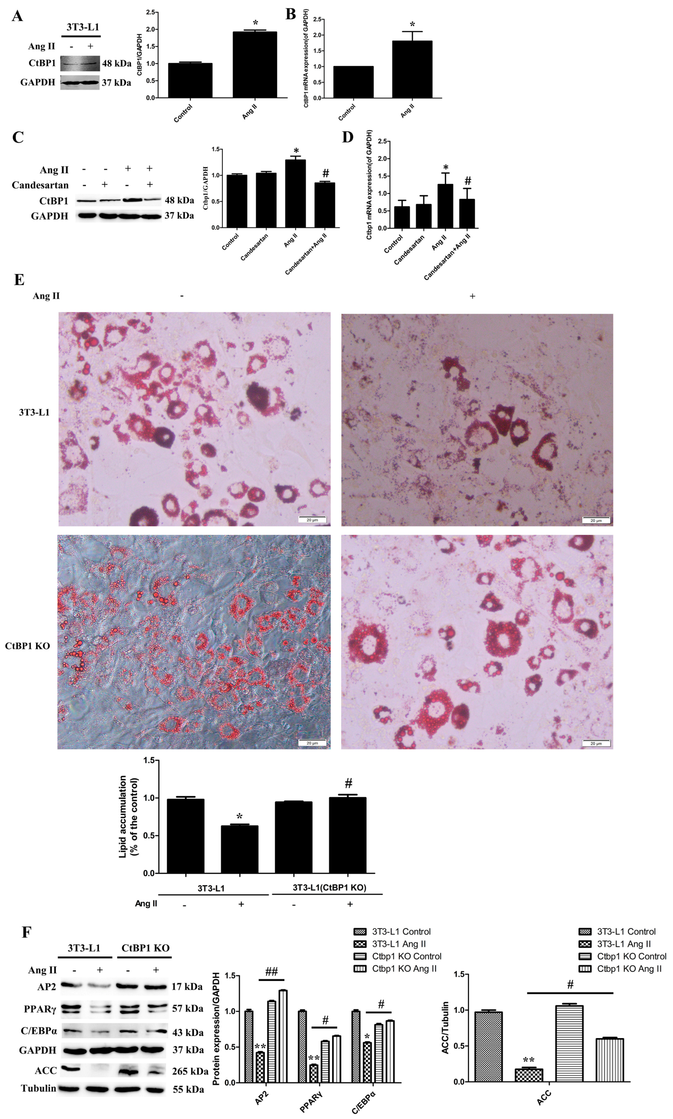 Biomedicines 10 03131 g001