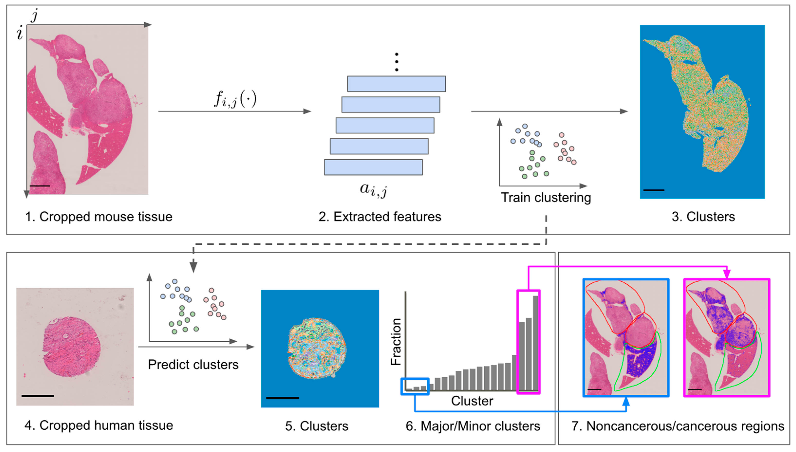 Biomedicines 10 03133 g002