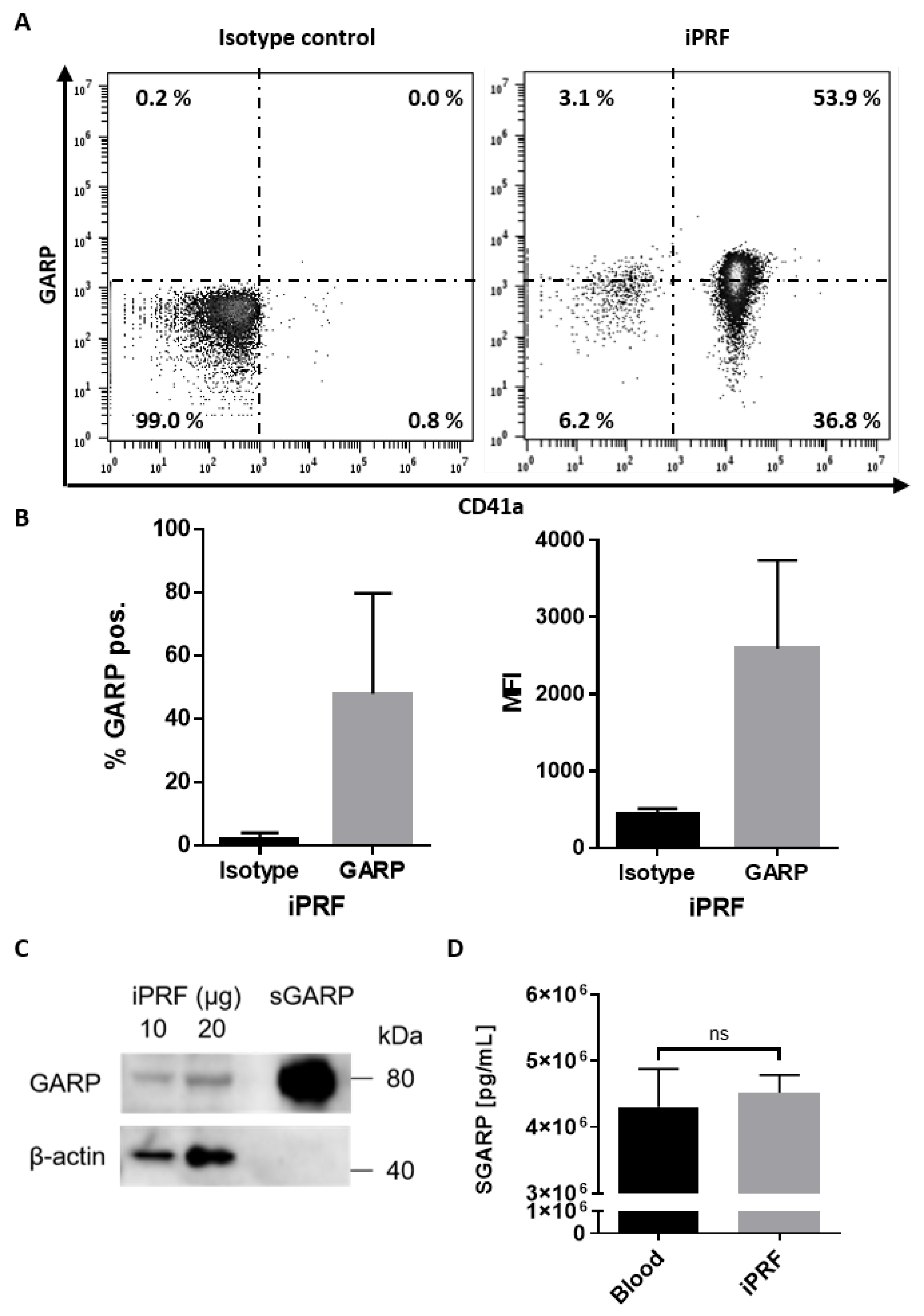 Biomedicines 10 03136 g001