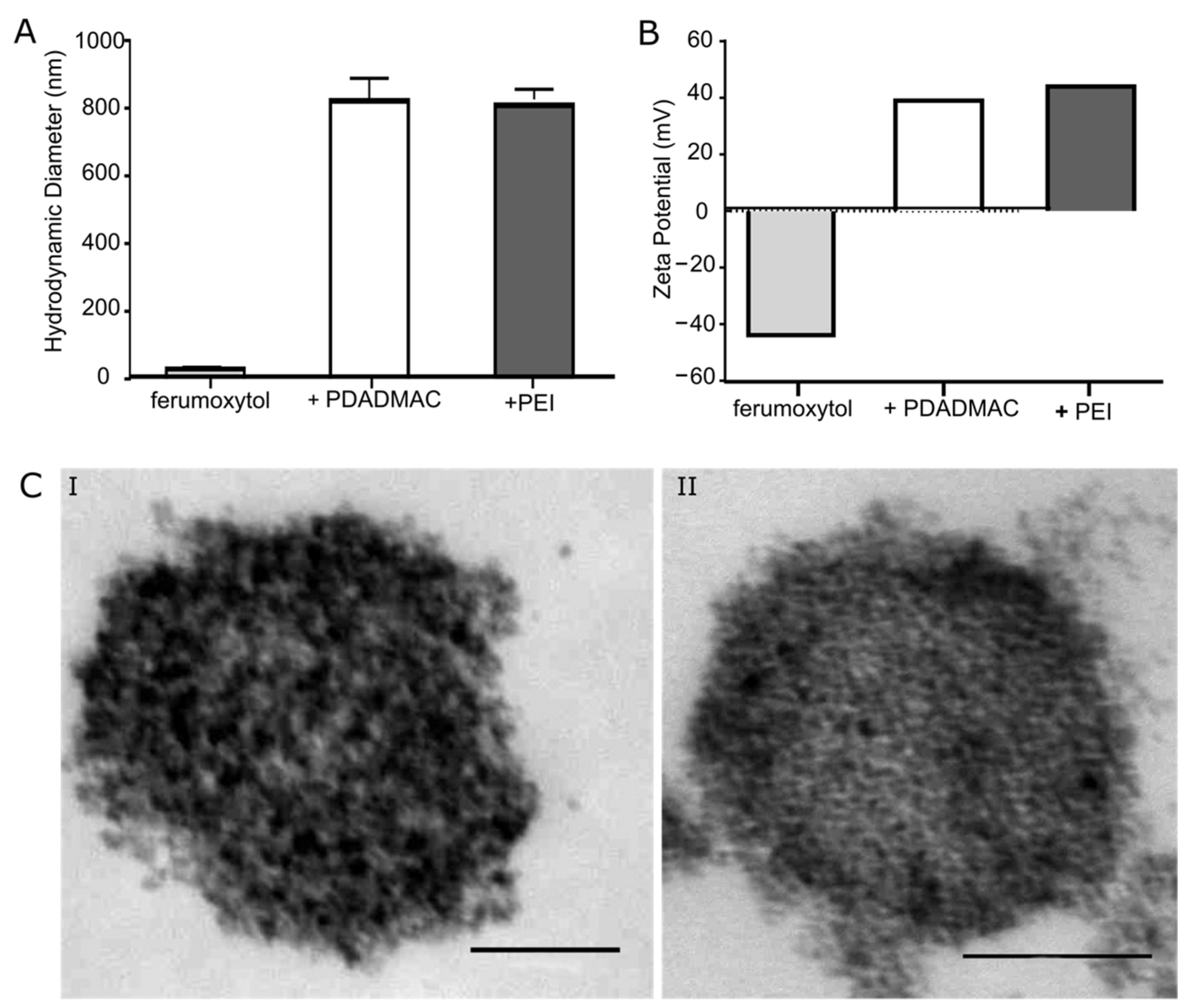 Biomedicines 10 03137 g001