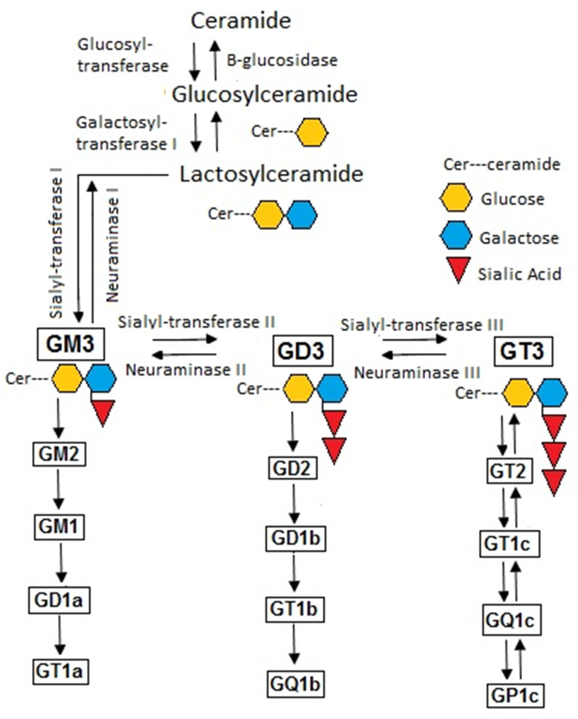 Biomedicines 10 03141 g001 Biomedicines 10 03141 g001